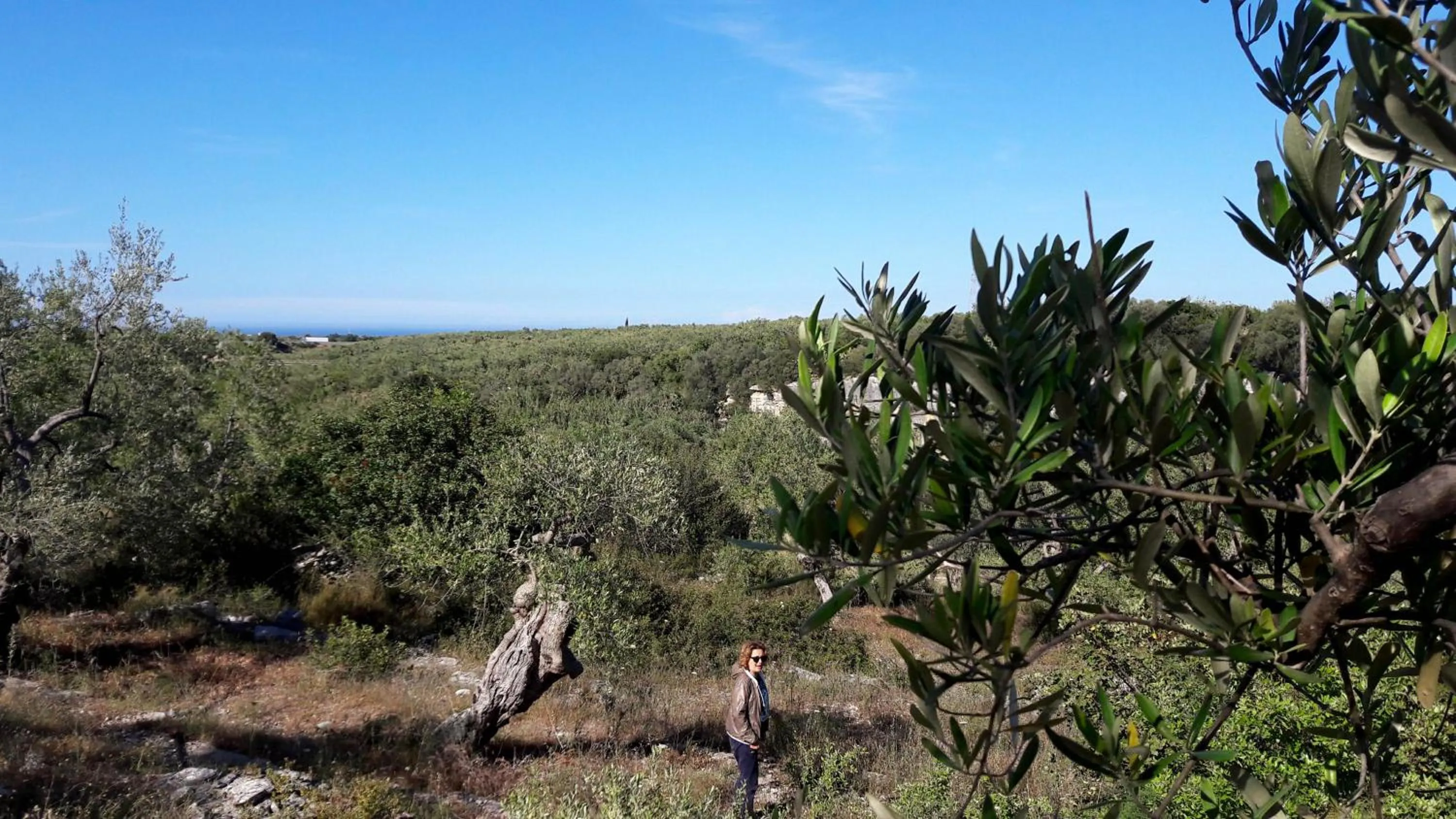 Natural landscape in Posta Santa Croce