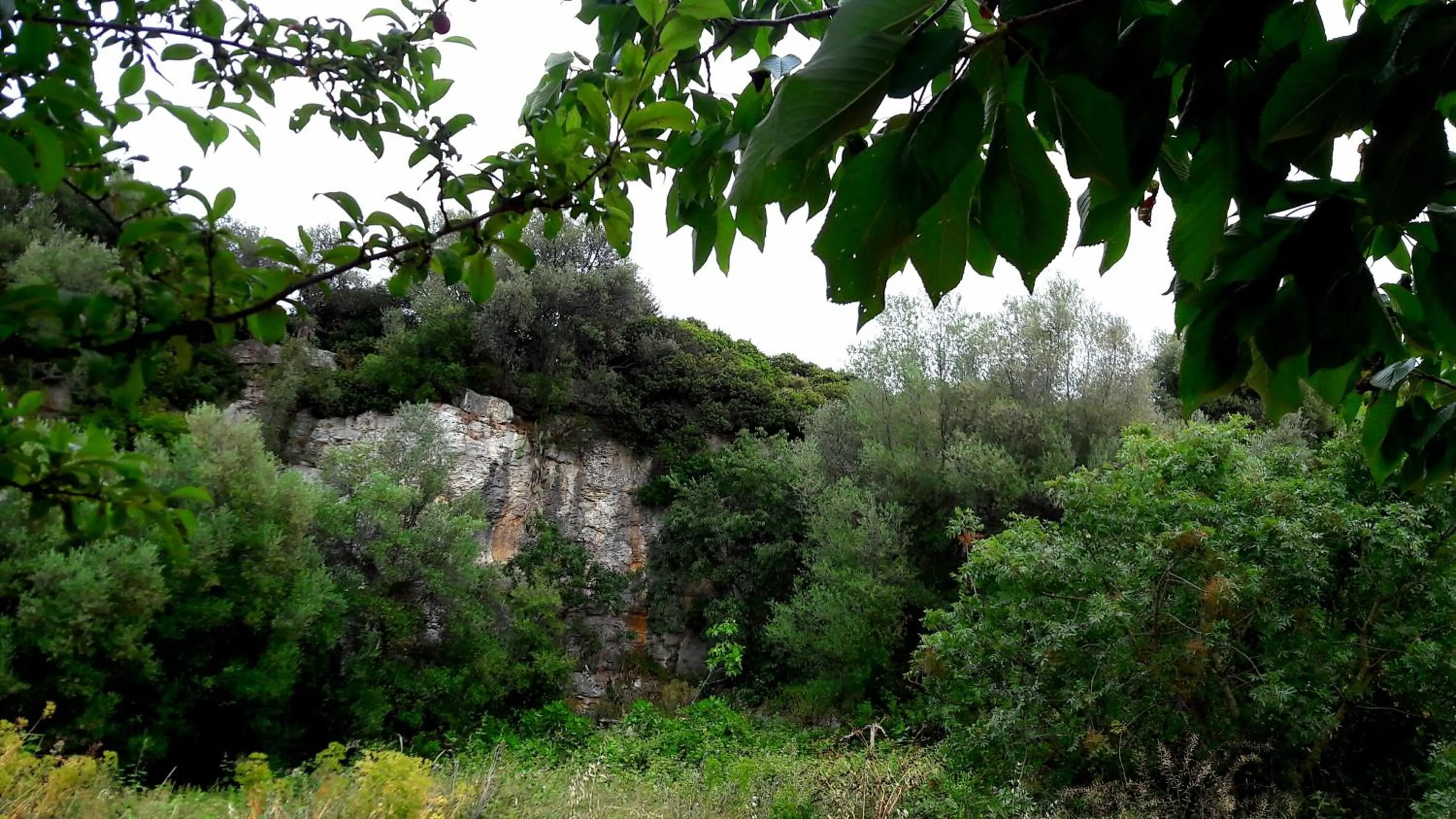 Natural landscape in Posta Santa Croce