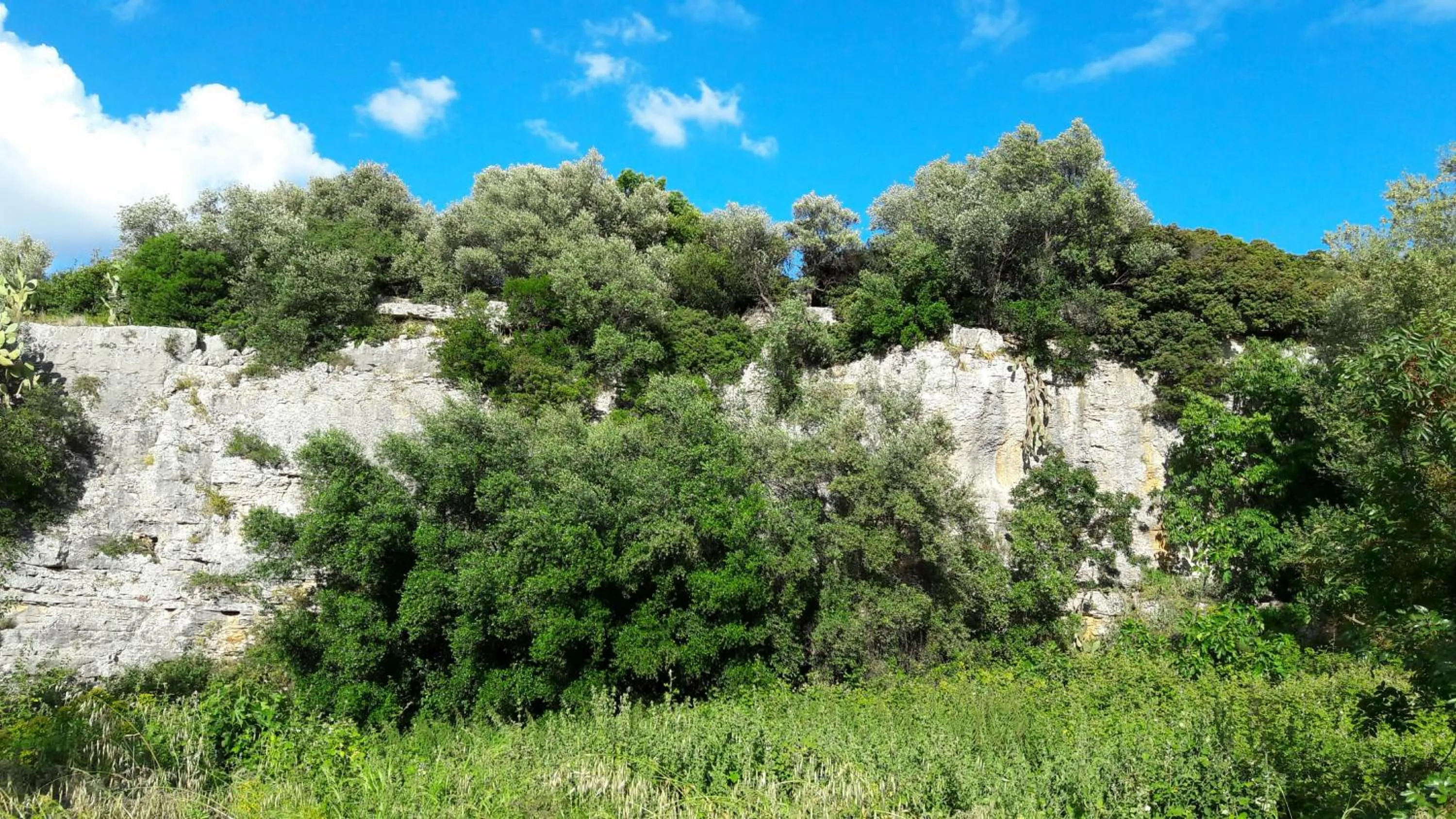 Natural landscape in Posta Santa Croce