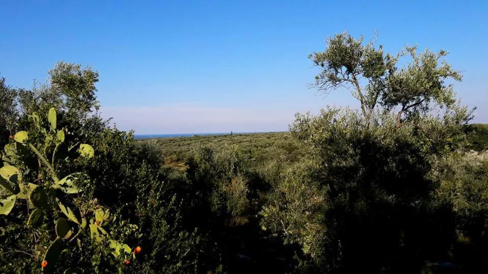 Natural landscape in Posta Santa Croce