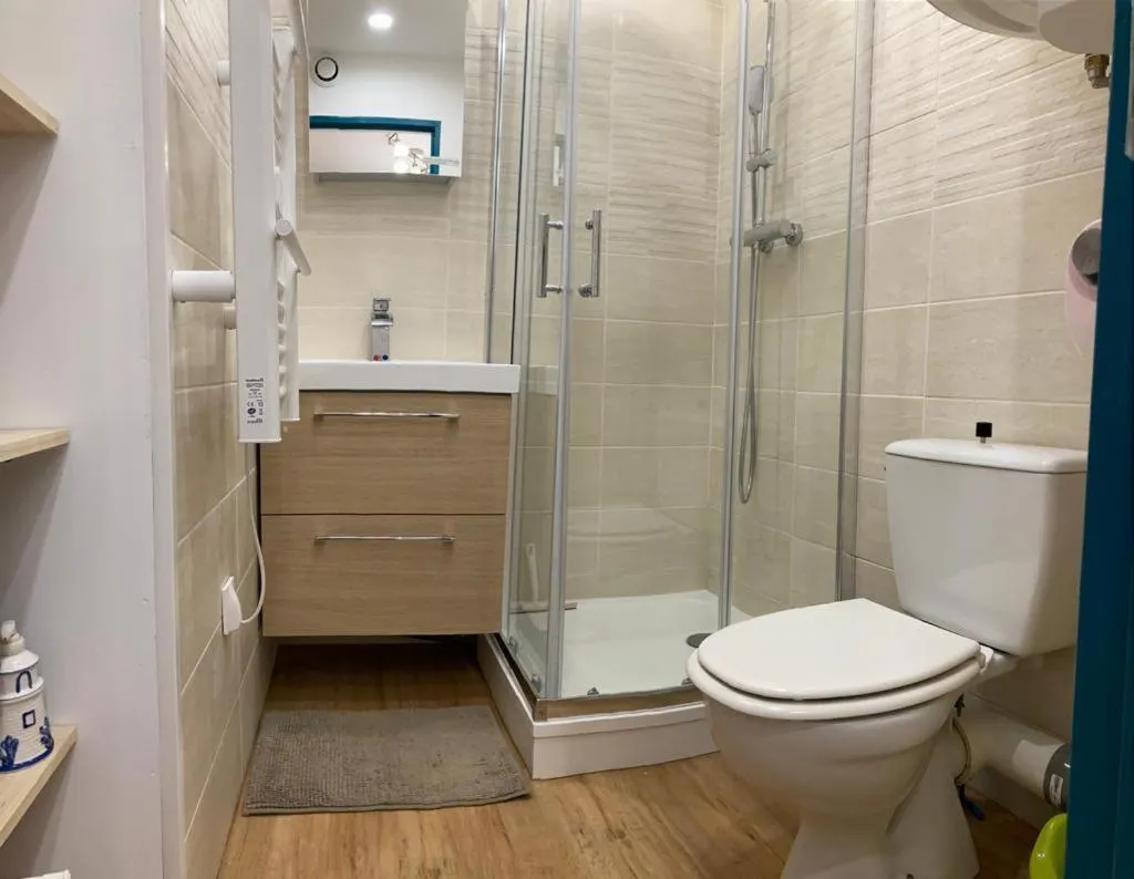 Bathroom in Appartement Les Amethystes 1