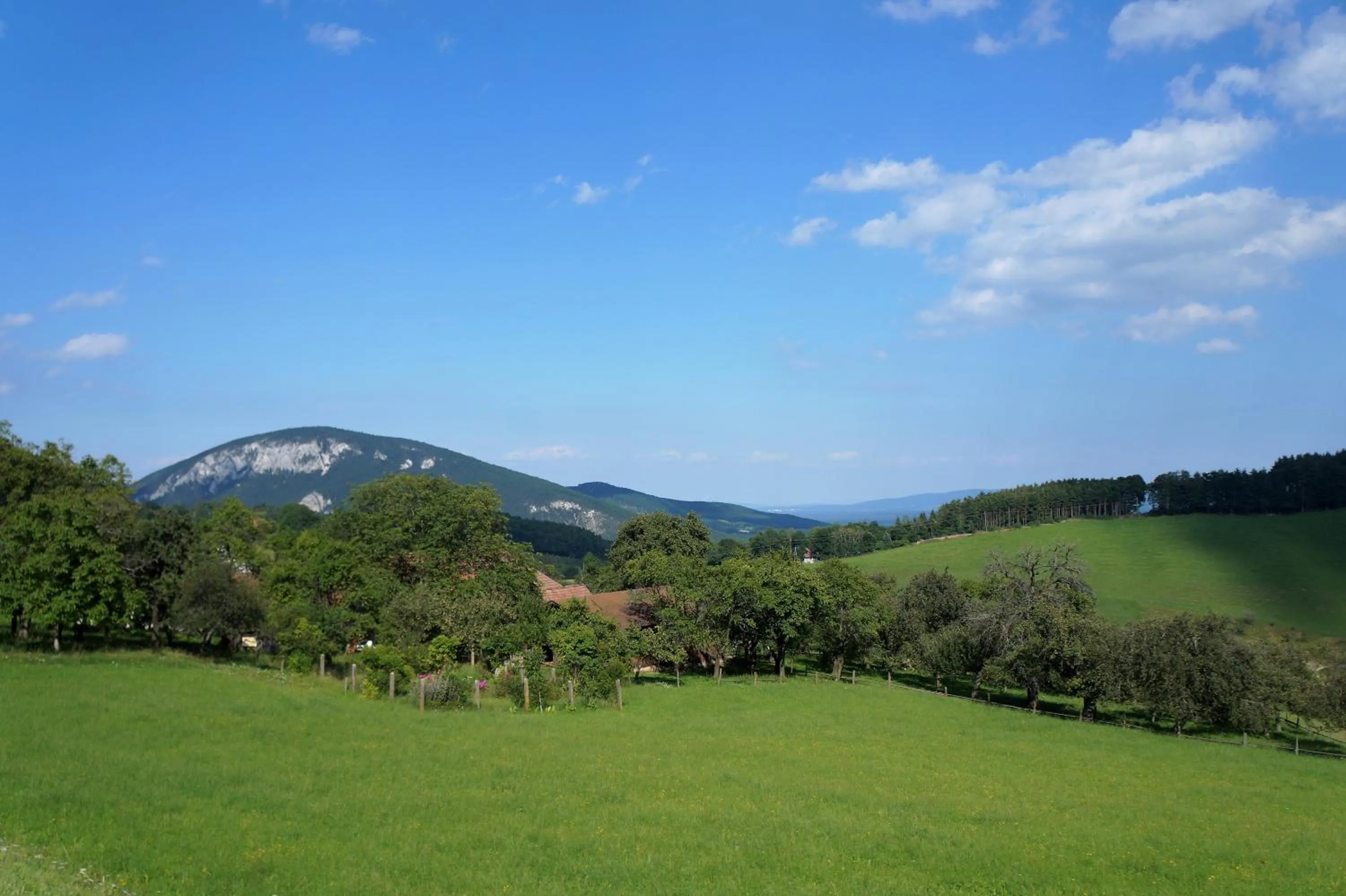 Natural landscape in Frühstückspension Gasthof Gesslbauer