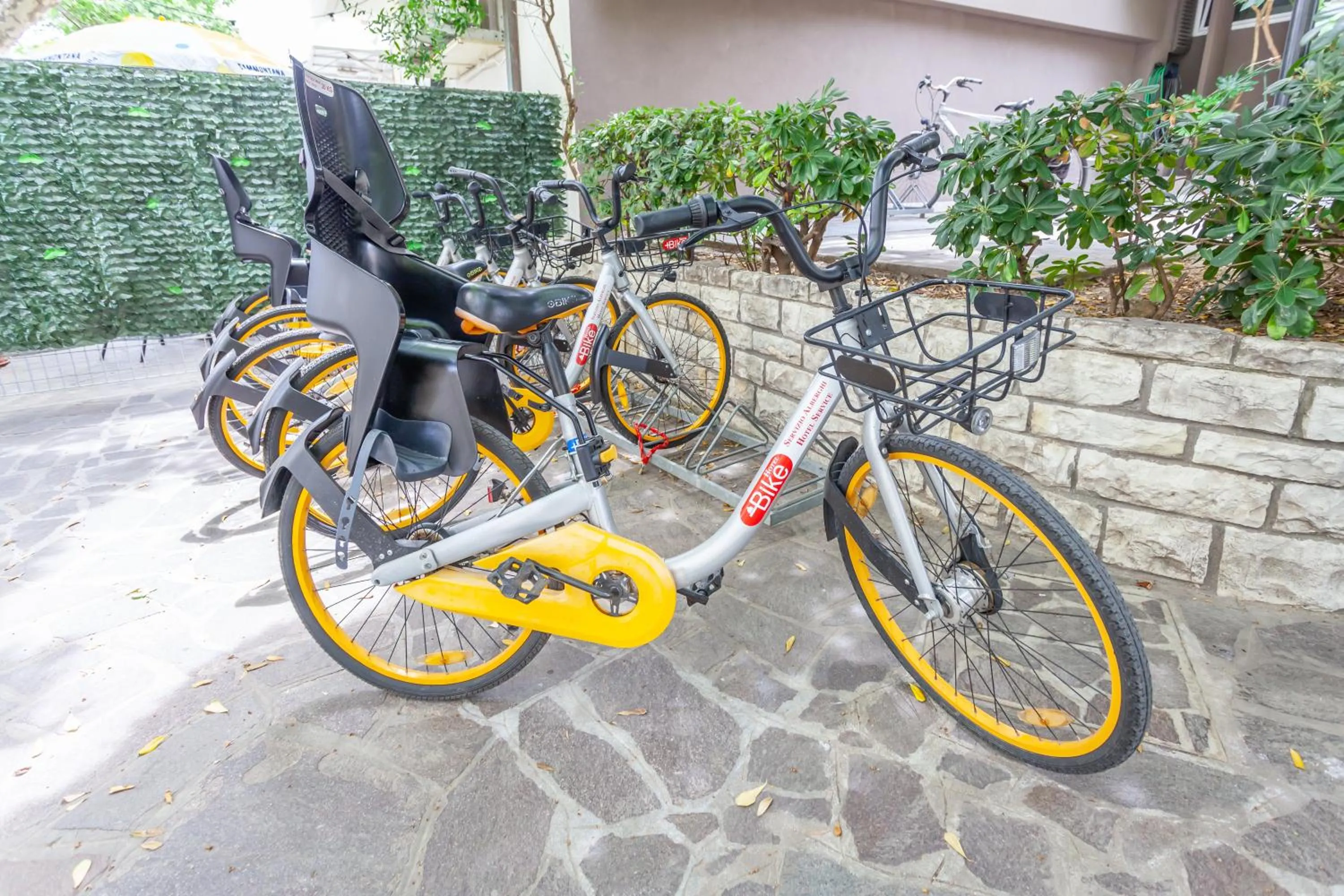 Cycling in Hotel Oceanic