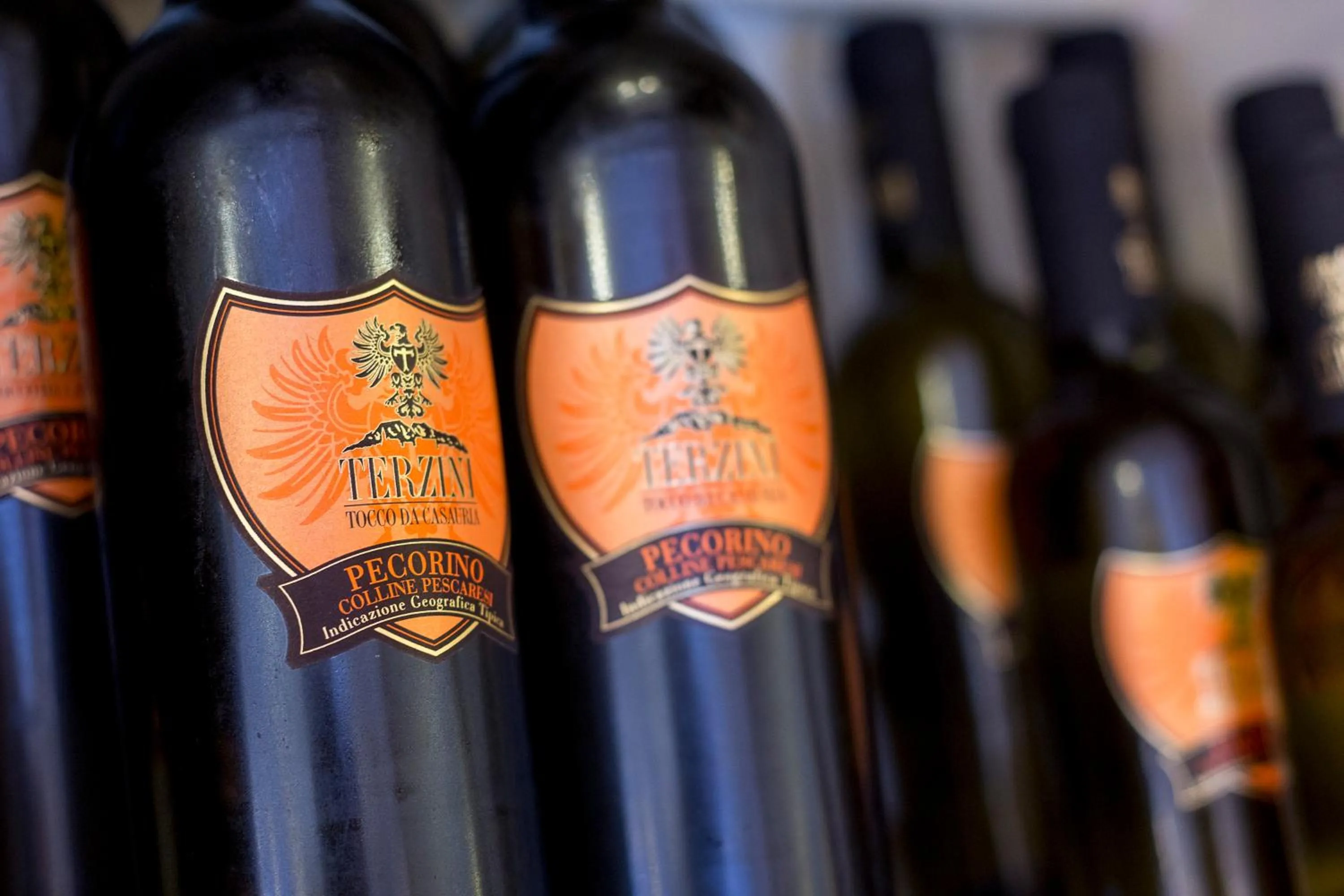 Drinks in Hotel Trieste