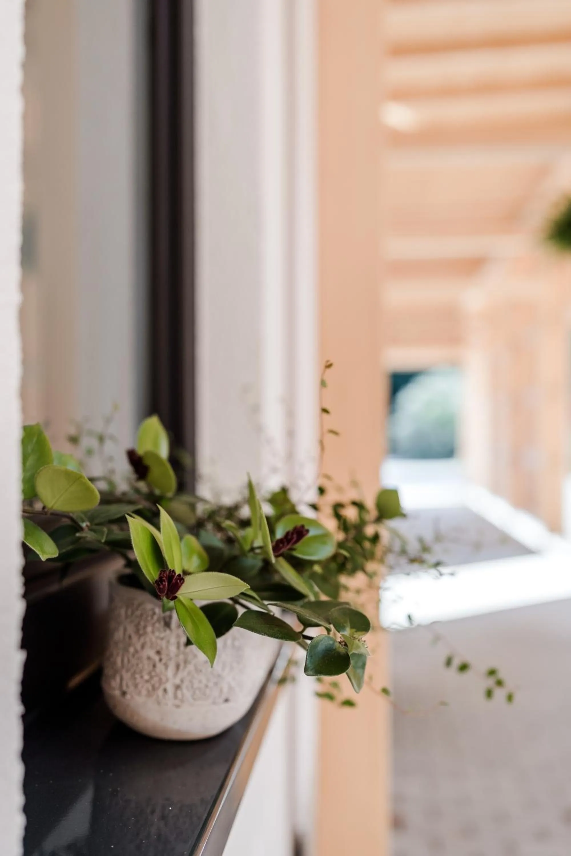 Sommers "Schöne Aussicht", Adults only