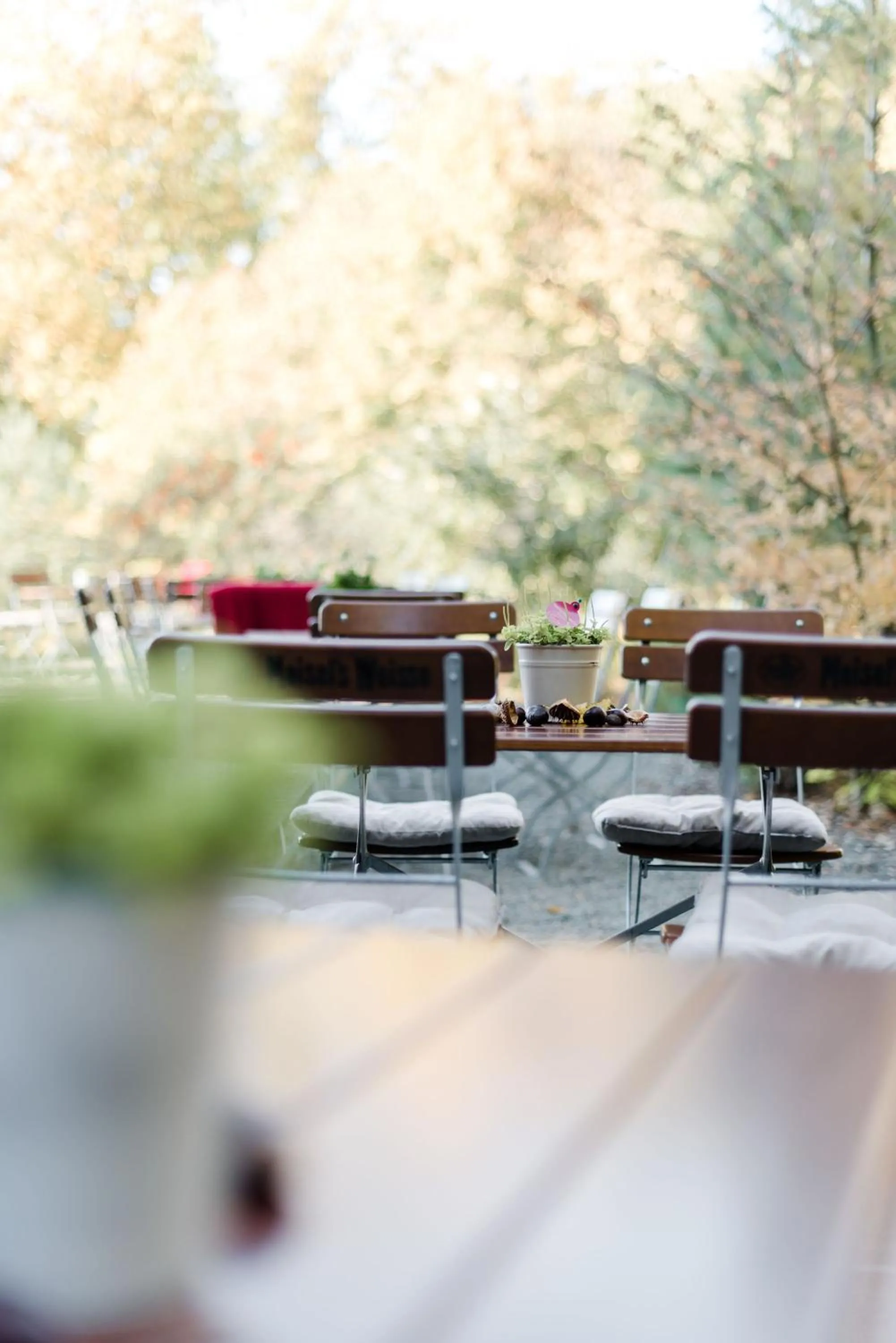 Restaurant/places to eat in Sommers "Schöne Aussicht", Adults only