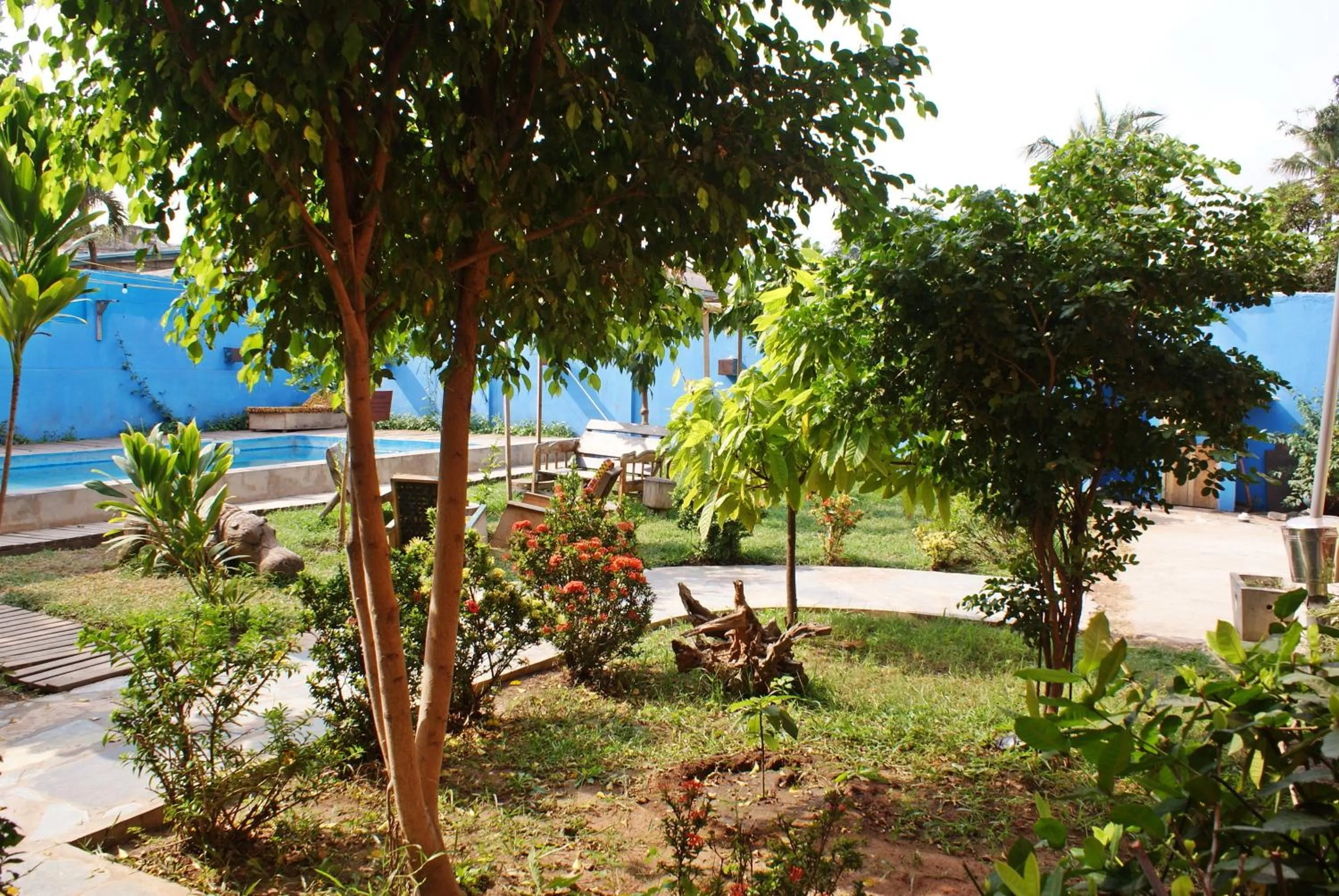 Garden in somewhere nice