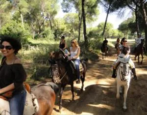 Horse-riding in Hotel Lince