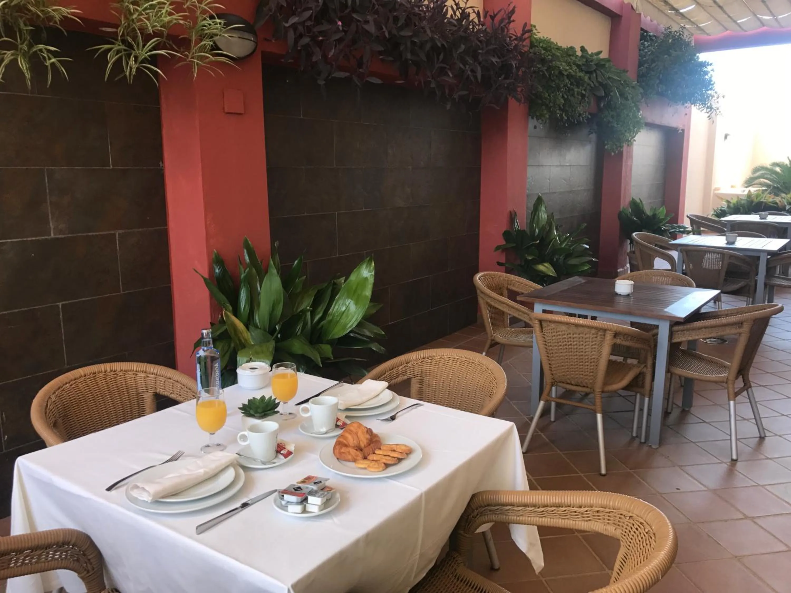 Patio in Hotel Lince