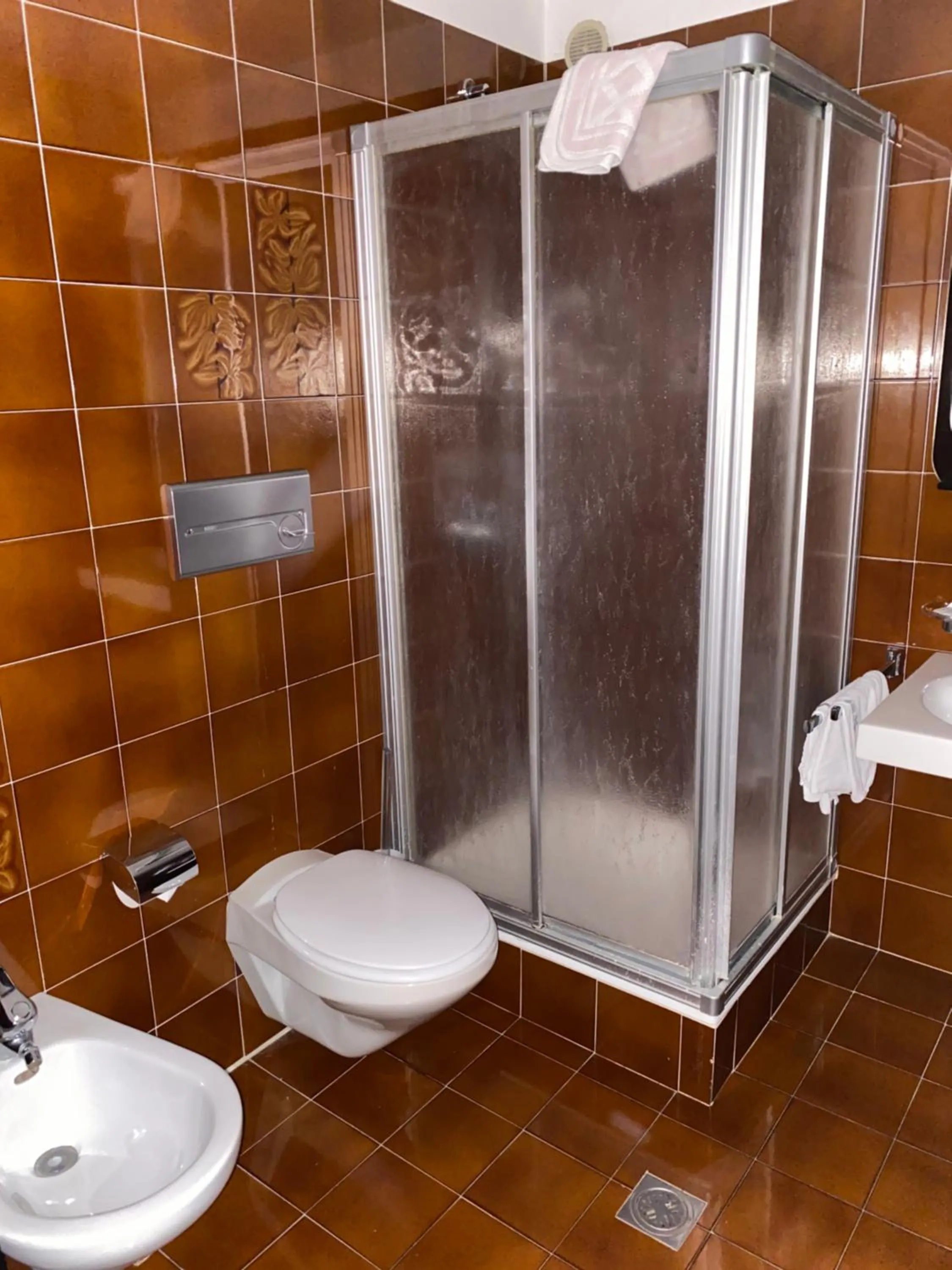 Shower in Hotel Friedemann