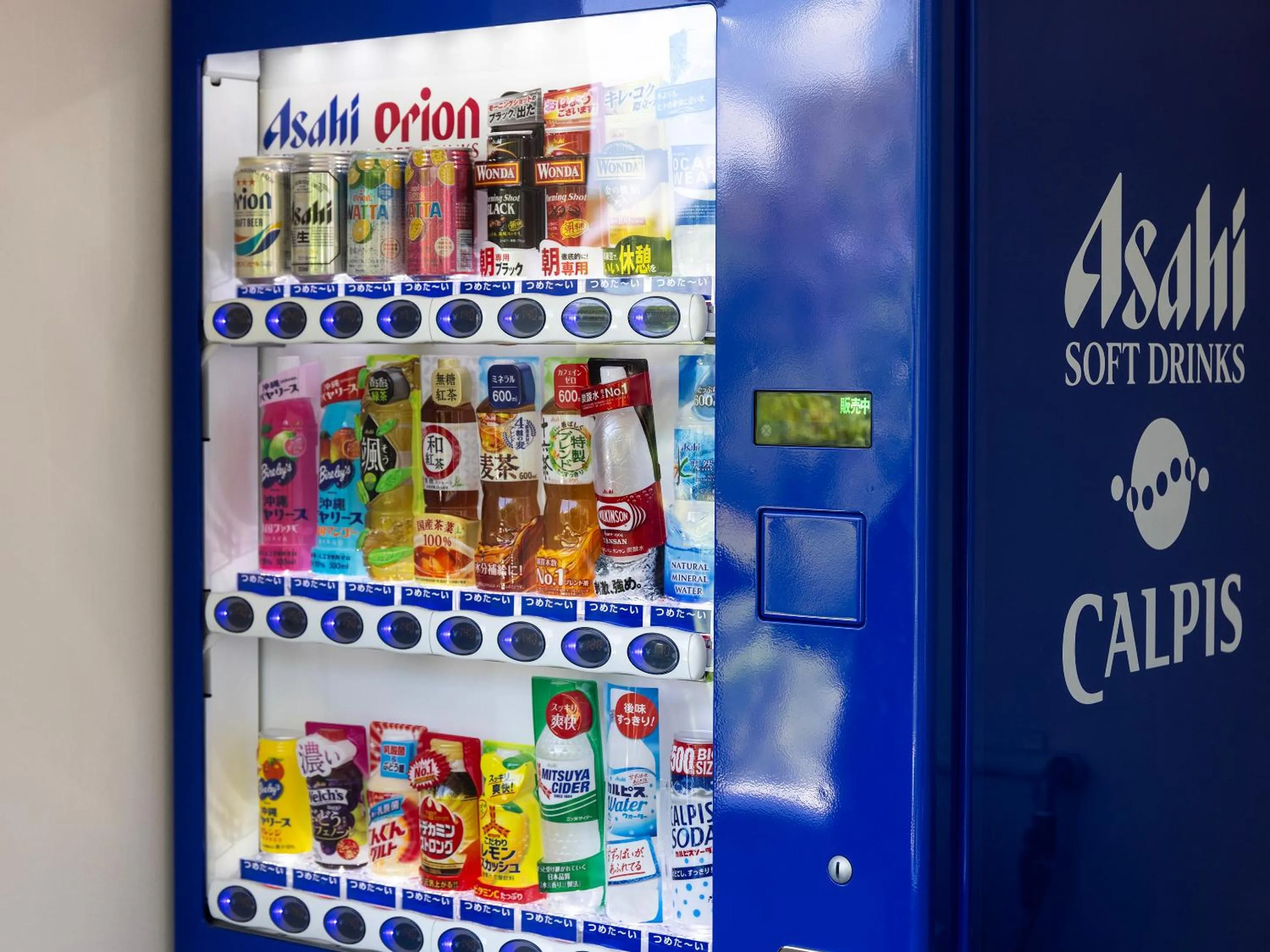 Area and facilities in Hoshi No Terrace Motobu Yamazato