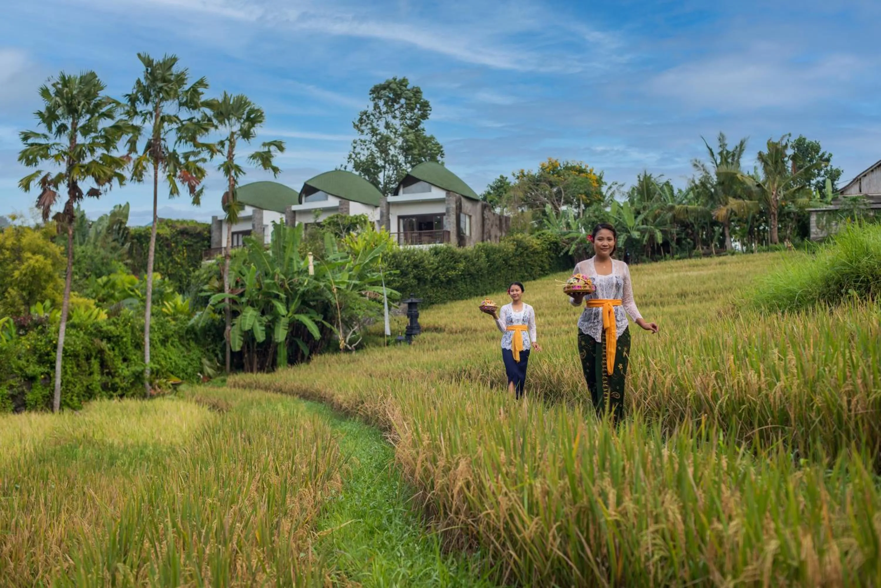 View (from property/room) in De Moksha Eco Friendly Boutique Resort