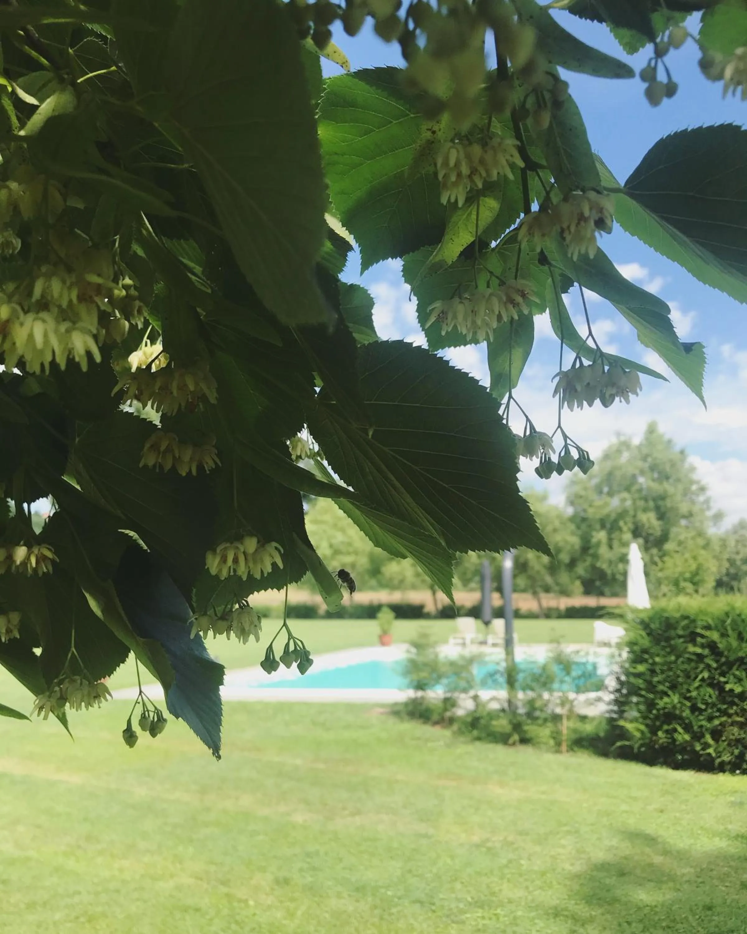 Garden in La Scuderia Charming Rooms b&b