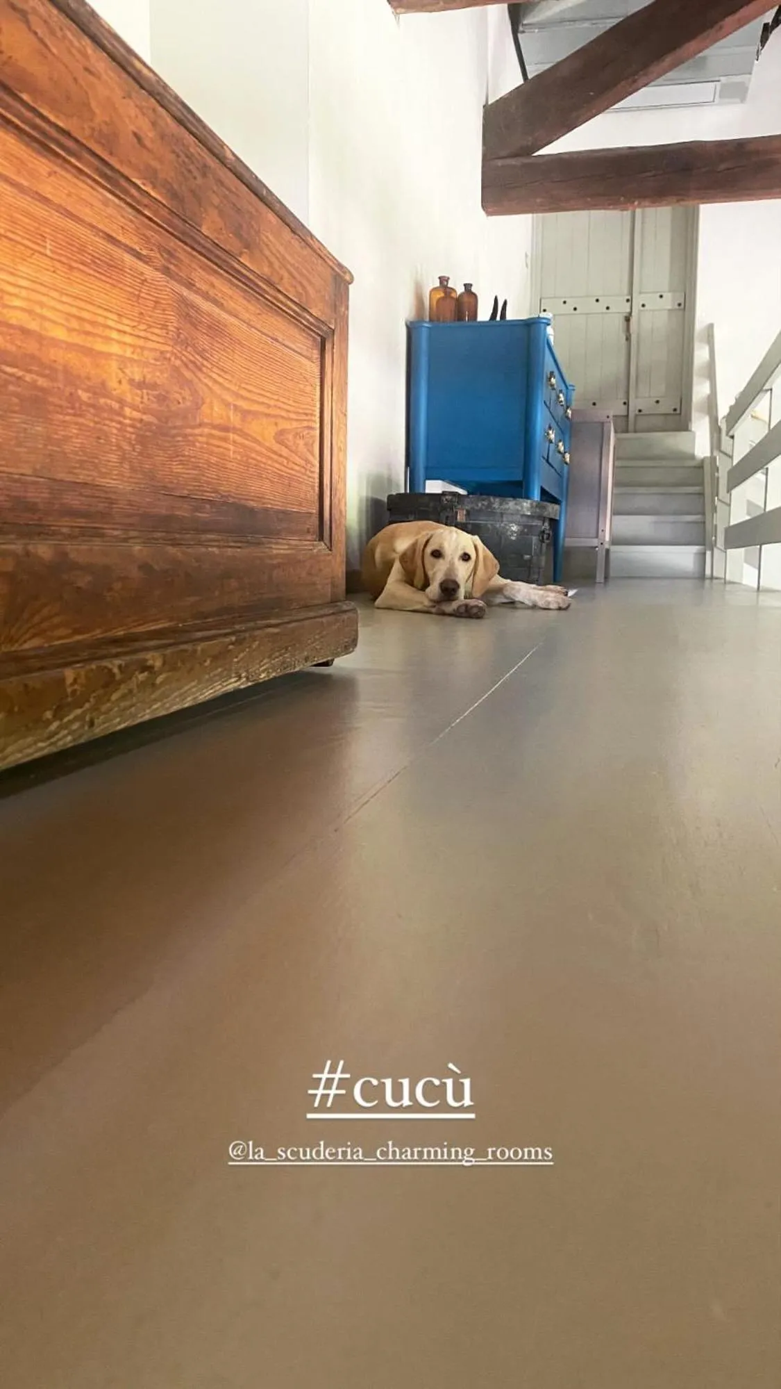 furniture in La Scuderia Charming Rooms b&b