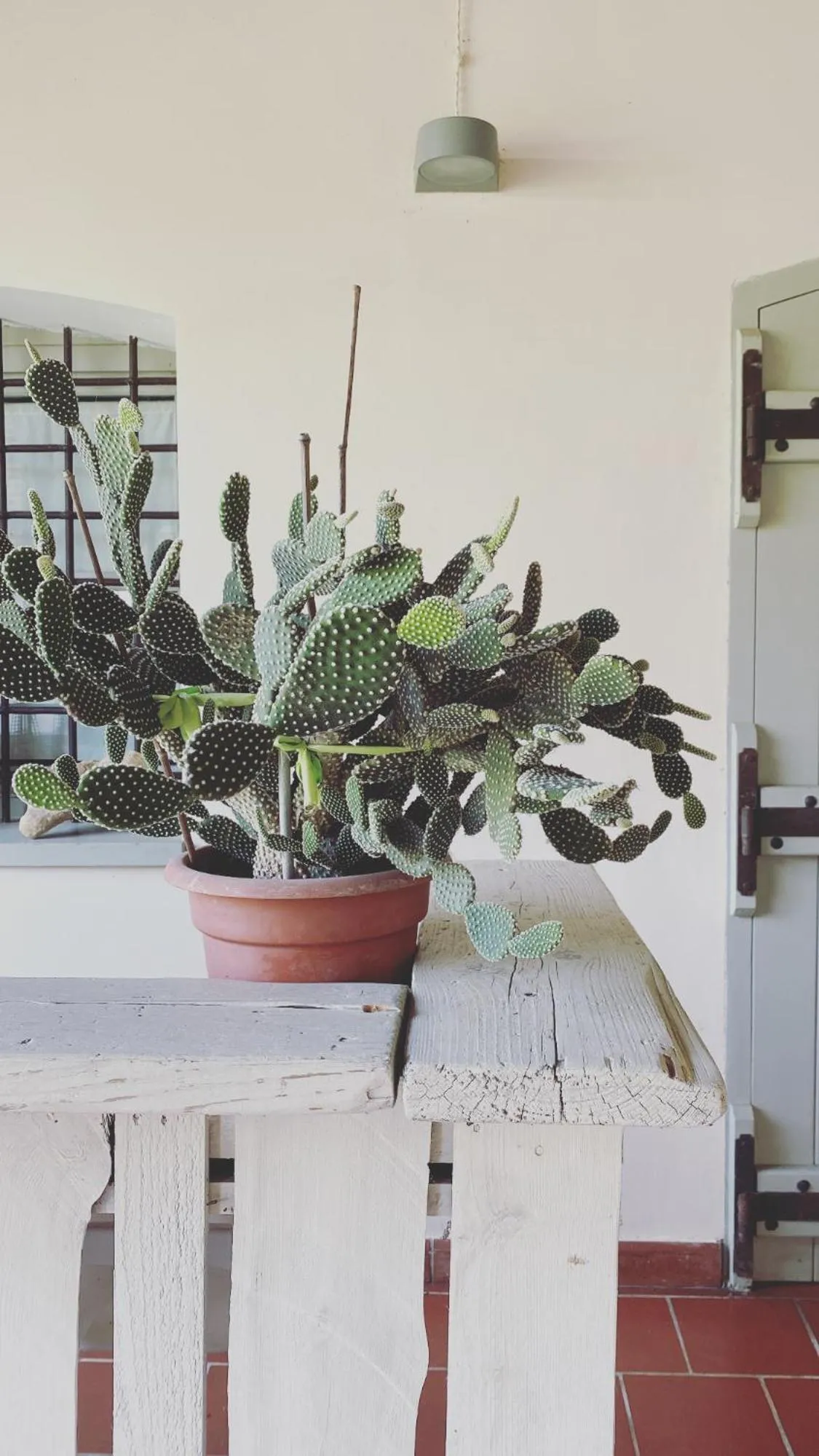 Breakfast in La Scuderia Charming Rooms b&b