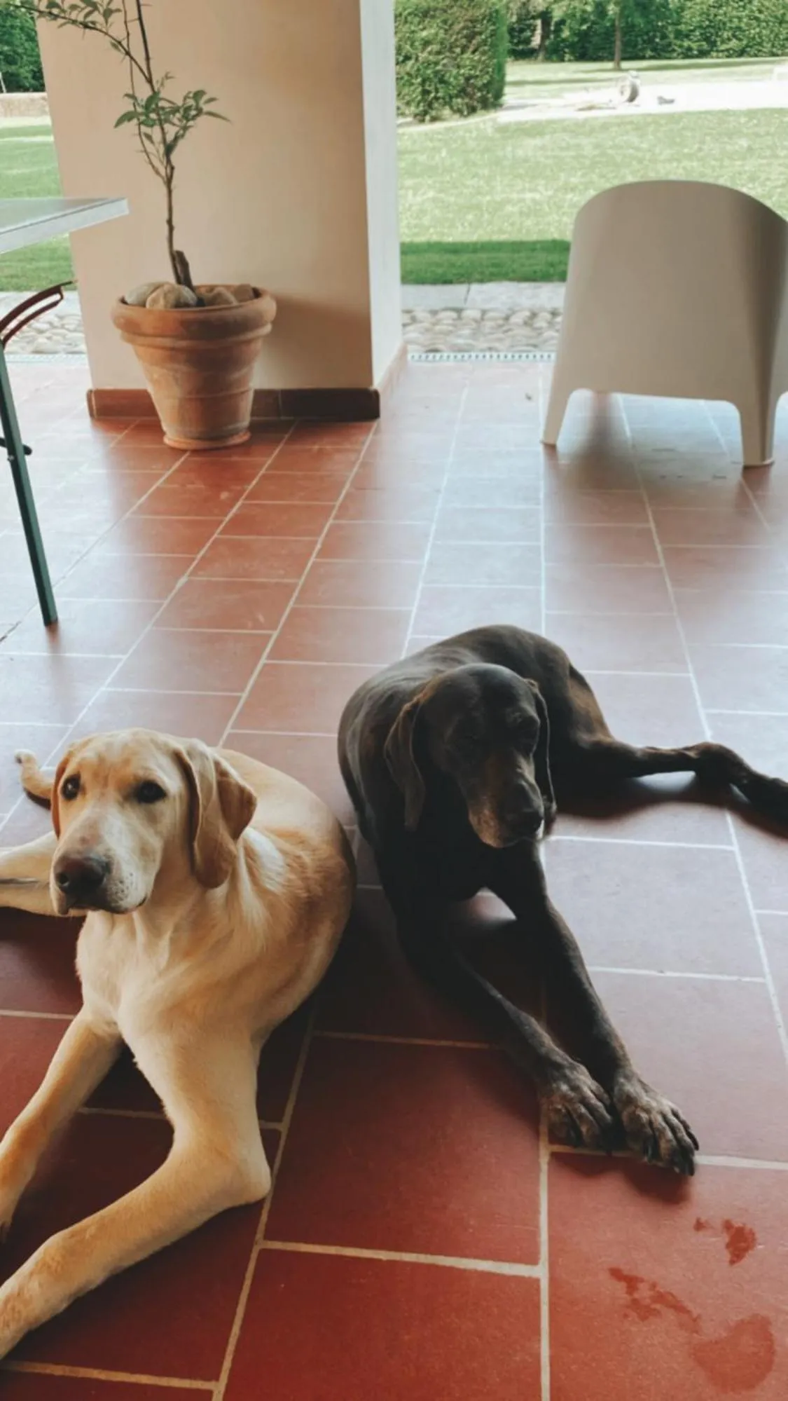 Property building in La Scuderia Charming Rooms b&b