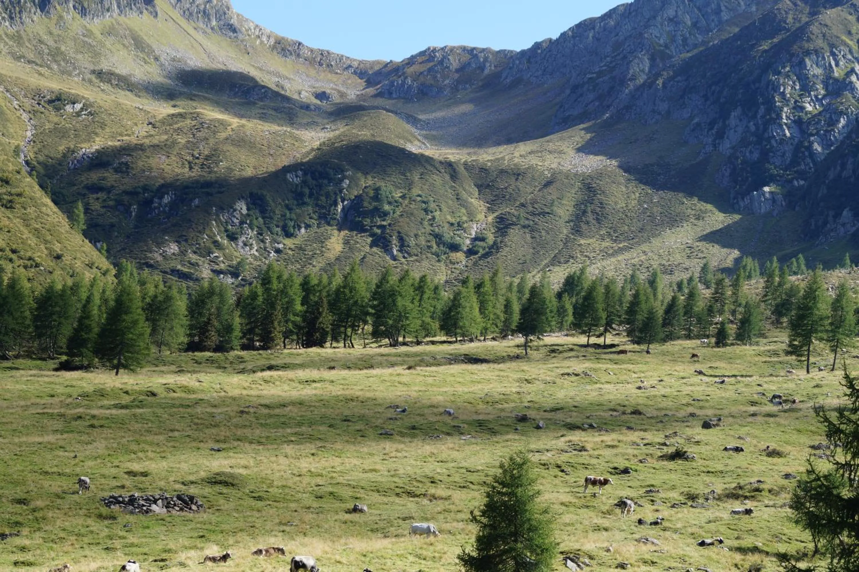 Day in Gasthof Innerwalten