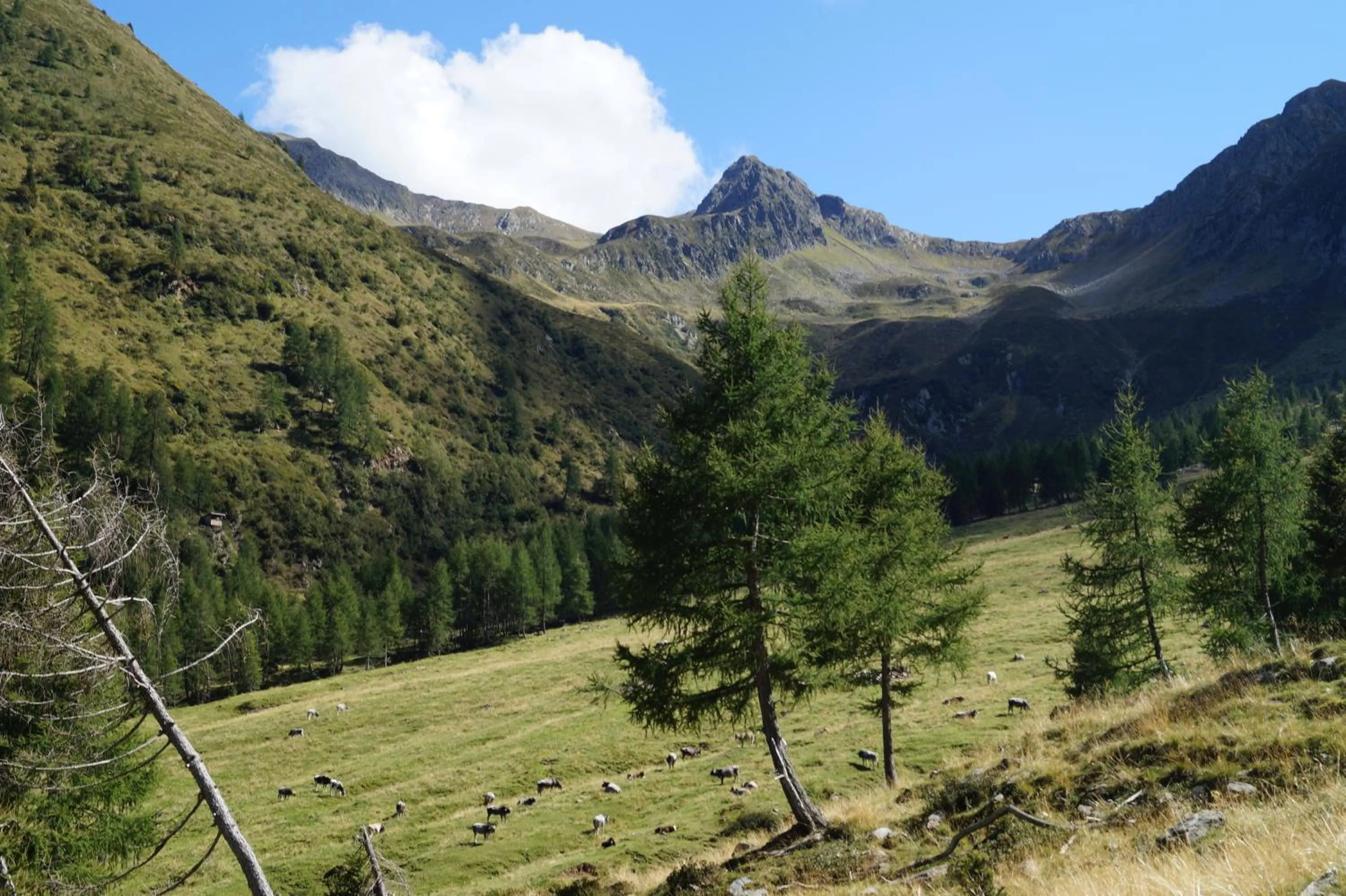 Day in Gasthof Innerwalten