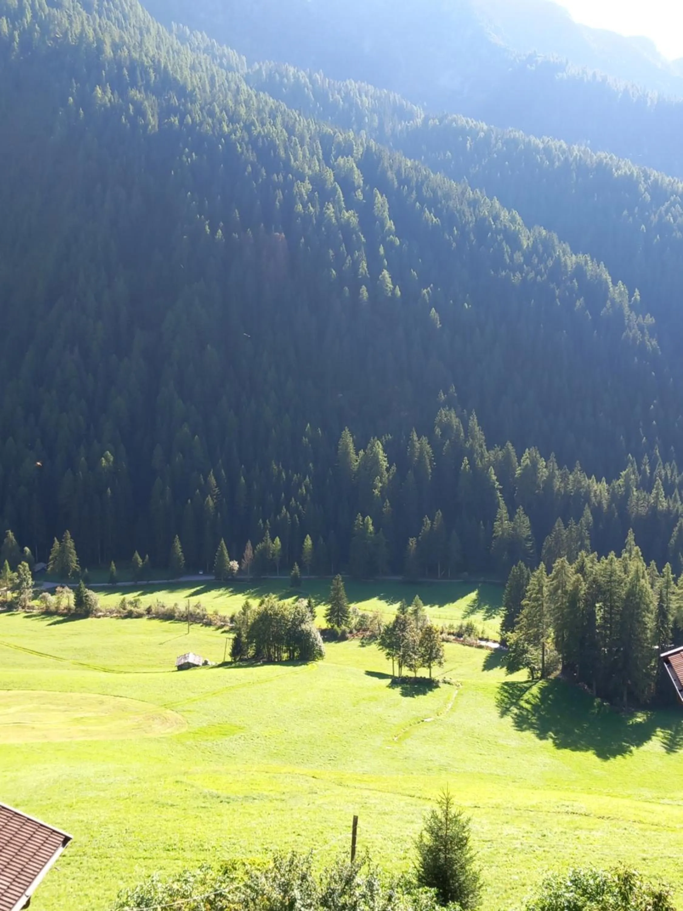 View (from property/room) in Gasthof Innerwalten