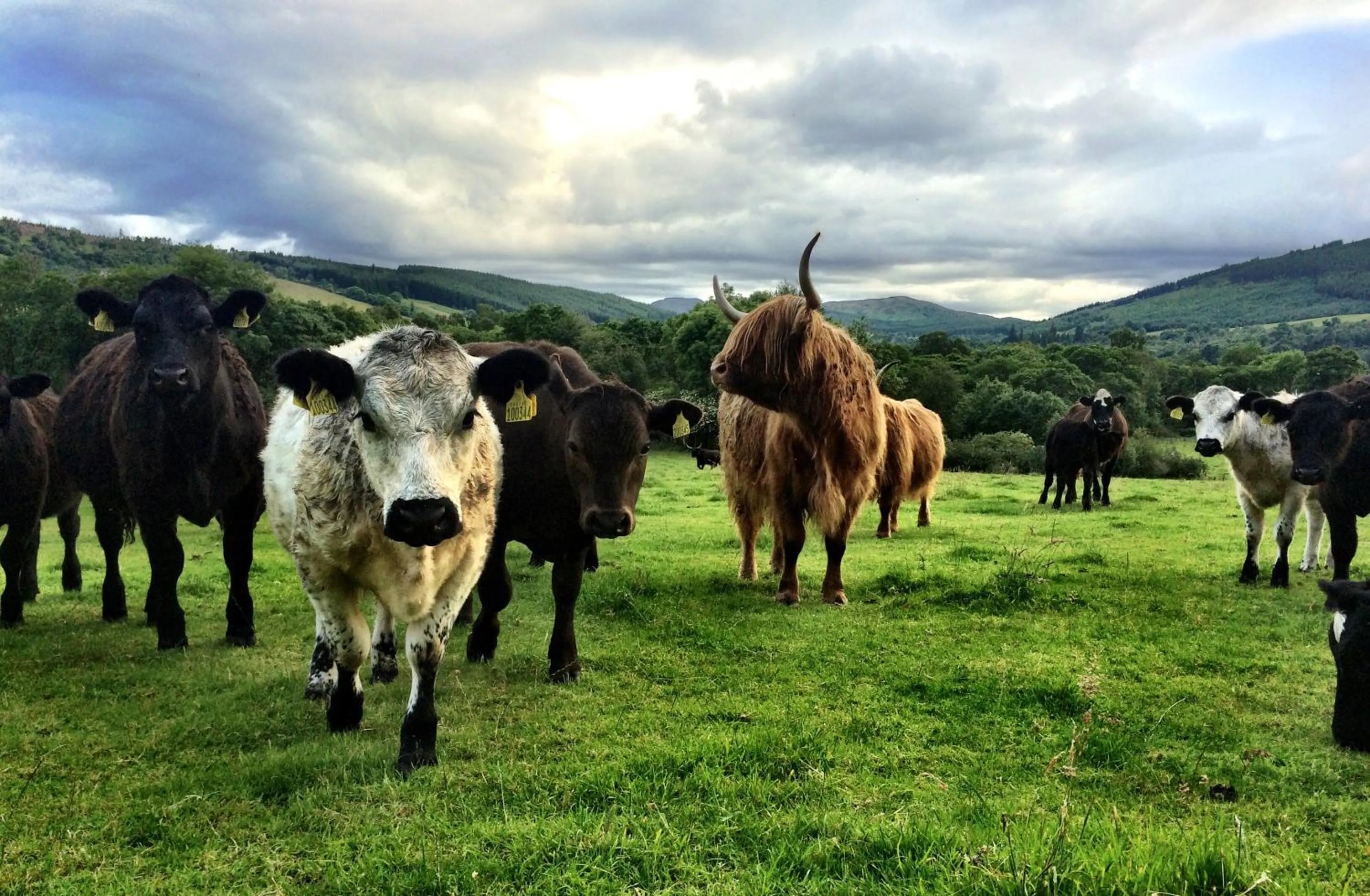 Property building in Drumbuie Farm B&B
