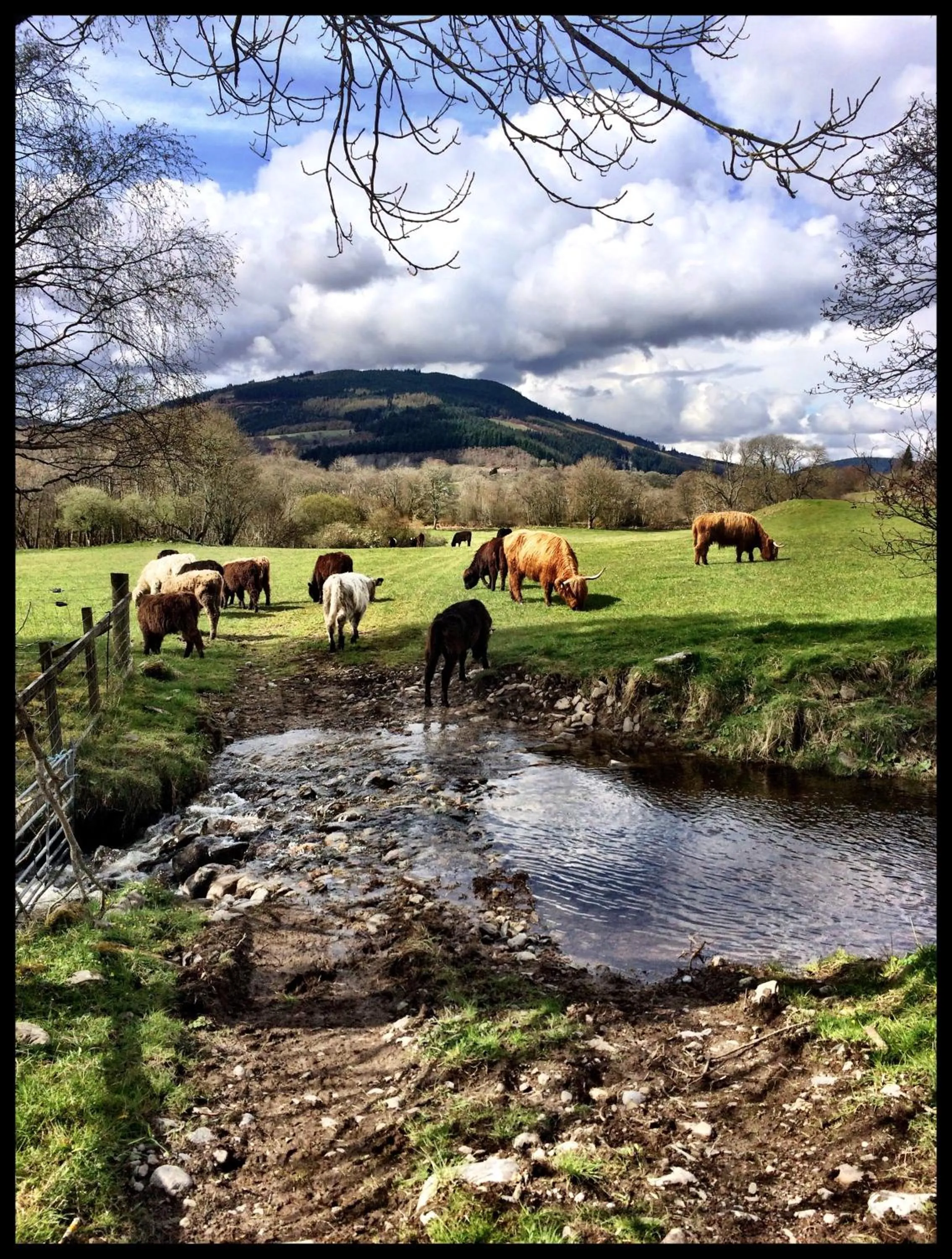Property building in Drumbuie Farm B&B