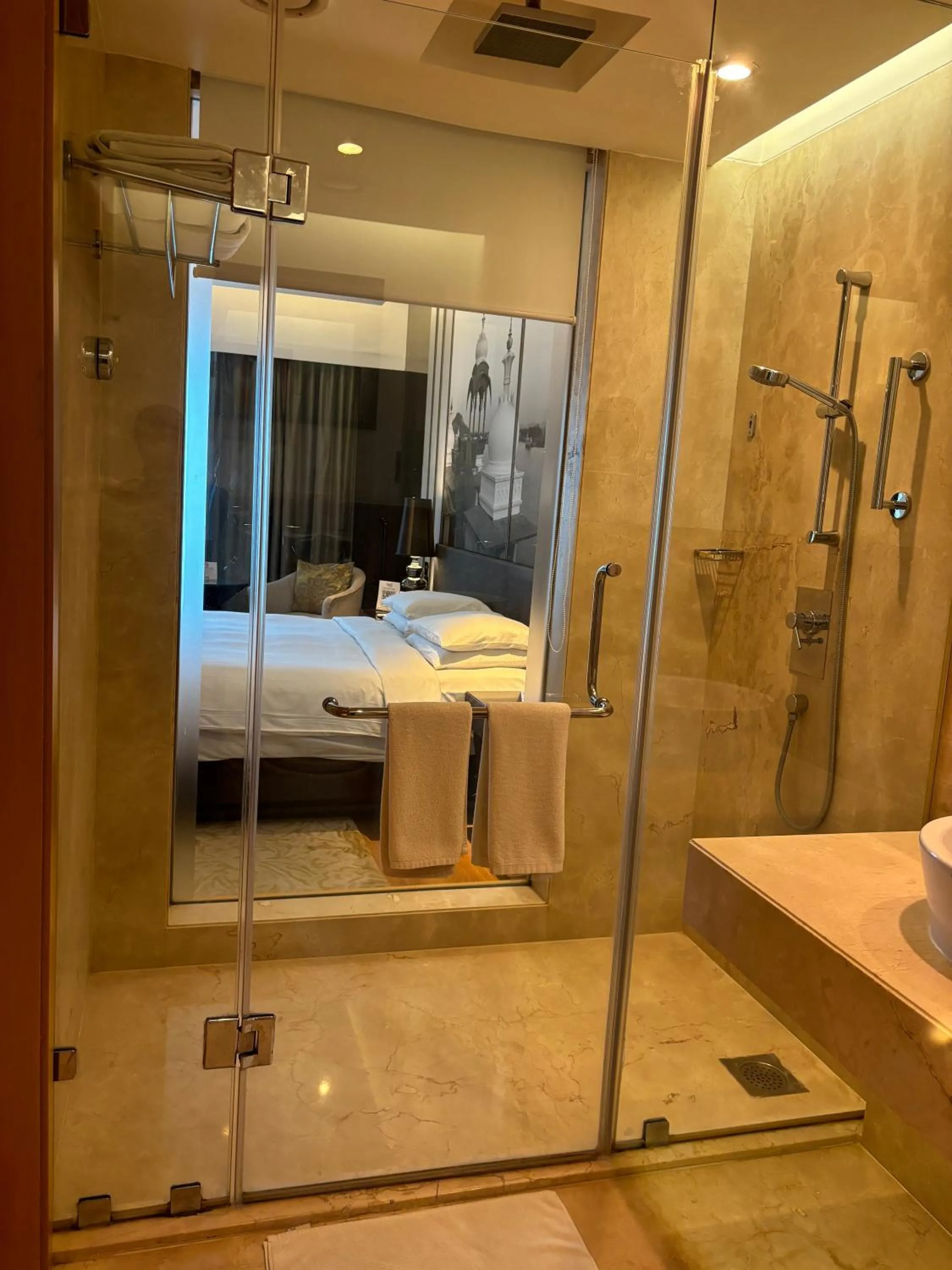 Shower in Pride Plaza Hotel, Aerocity New Delhi