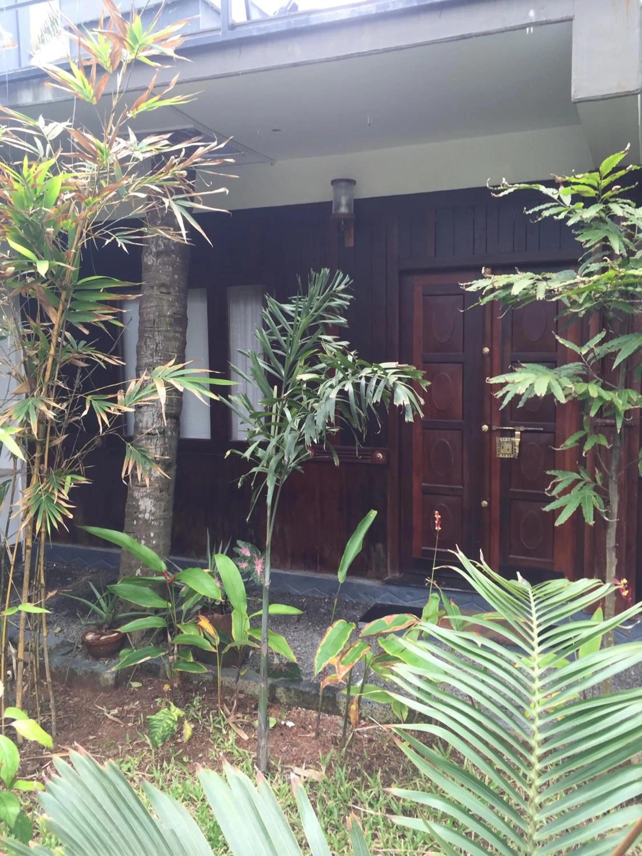 Garden view in 36 Palms Boutique Retreat