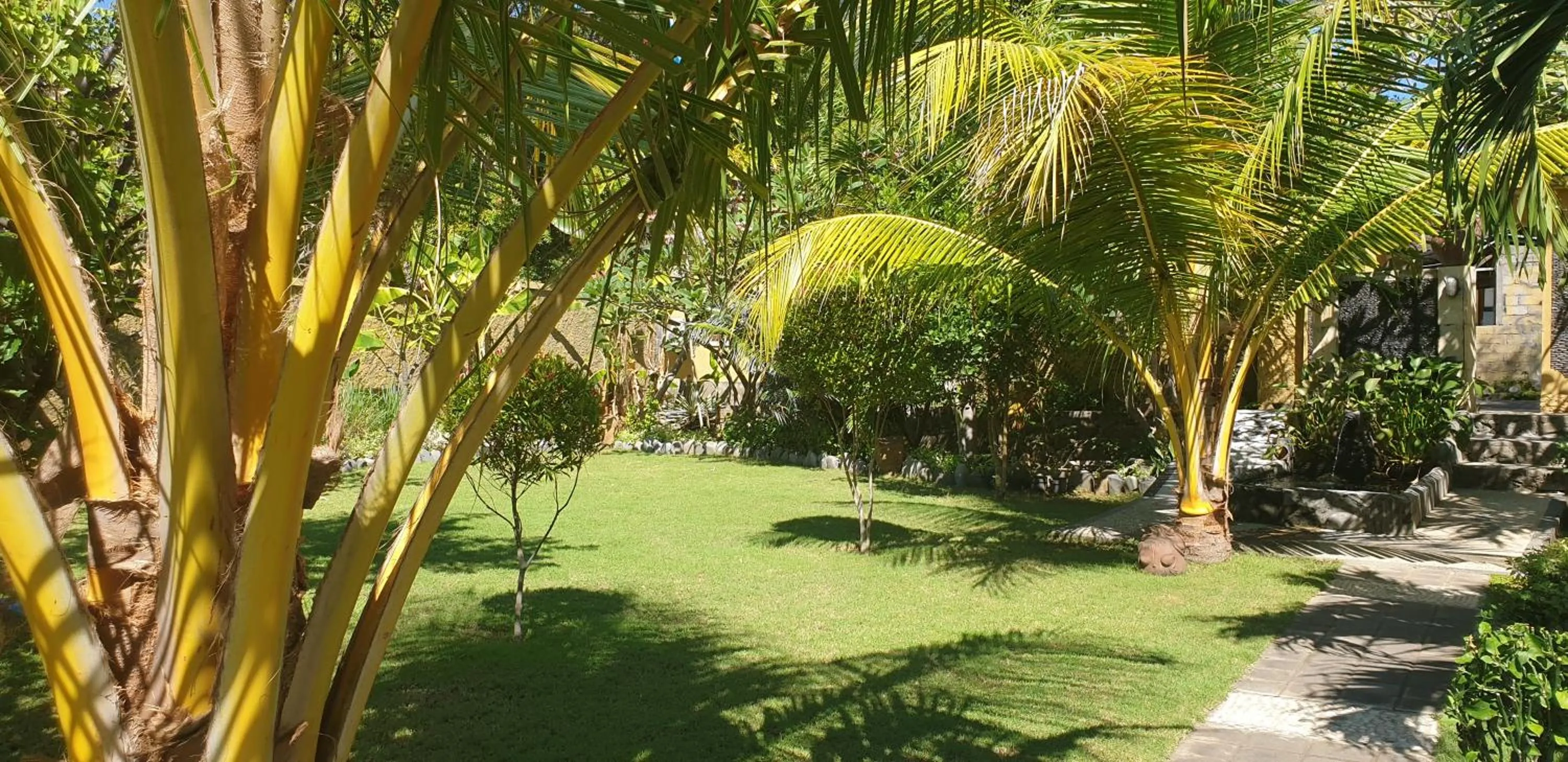 Garden in Nalini Resort