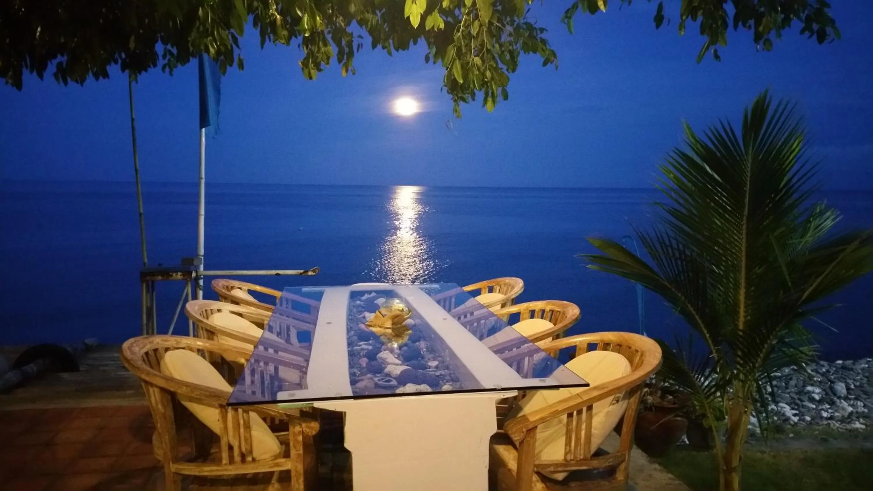 Restaurant/places to eat in Nalini Resort