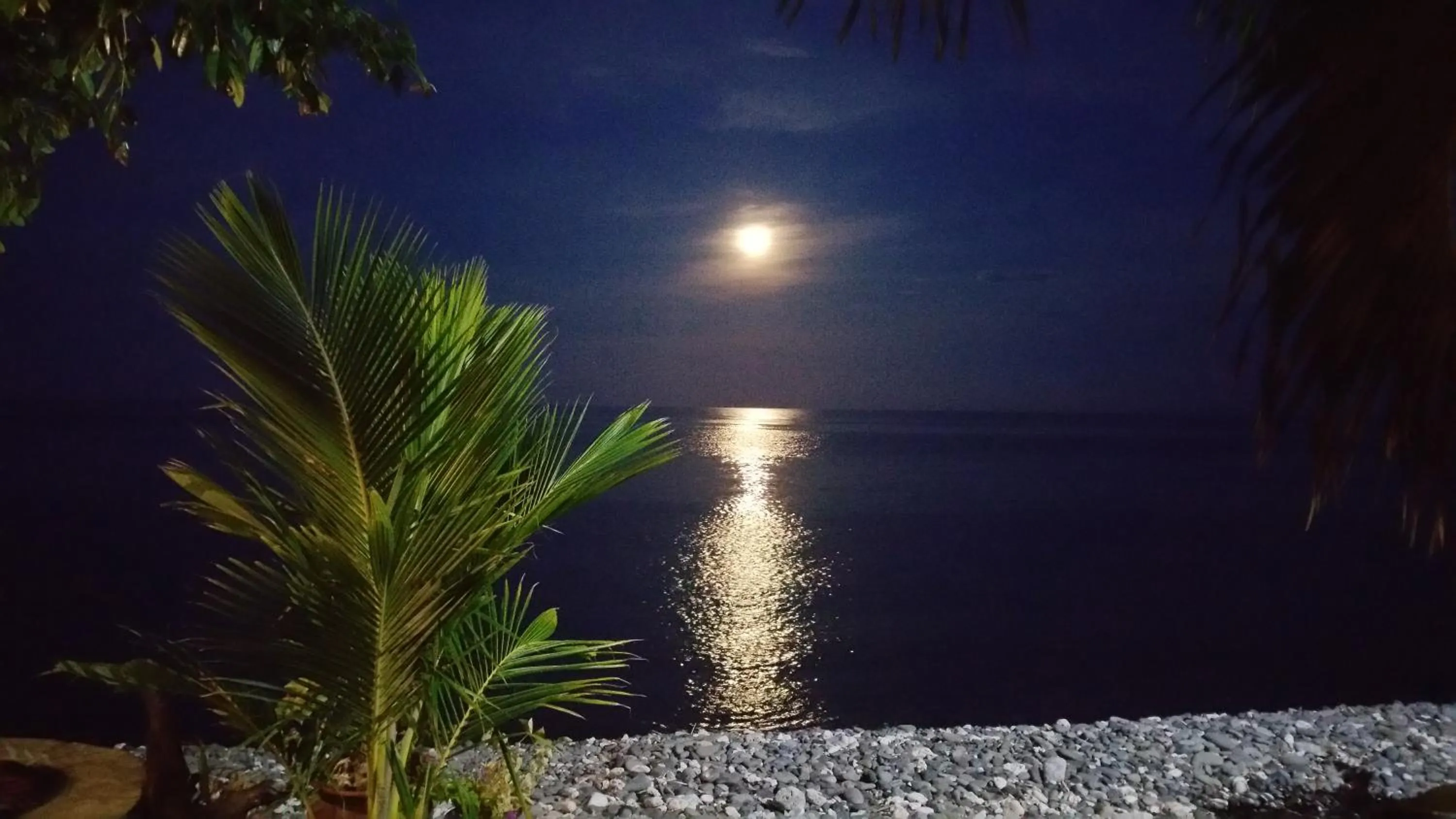 Restaurant/places to eat in Nalini Resort