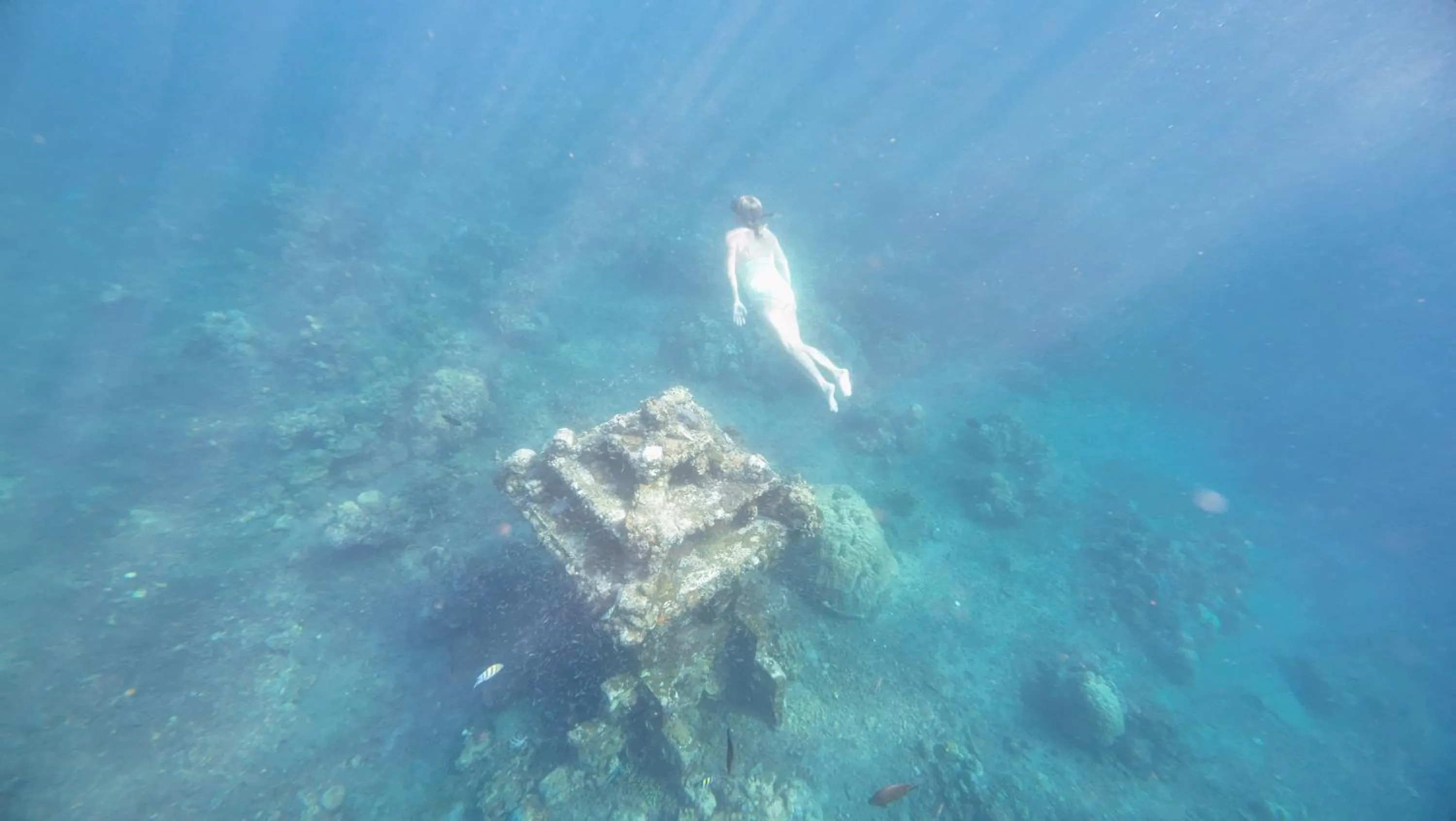 Activities in Nalini Resort