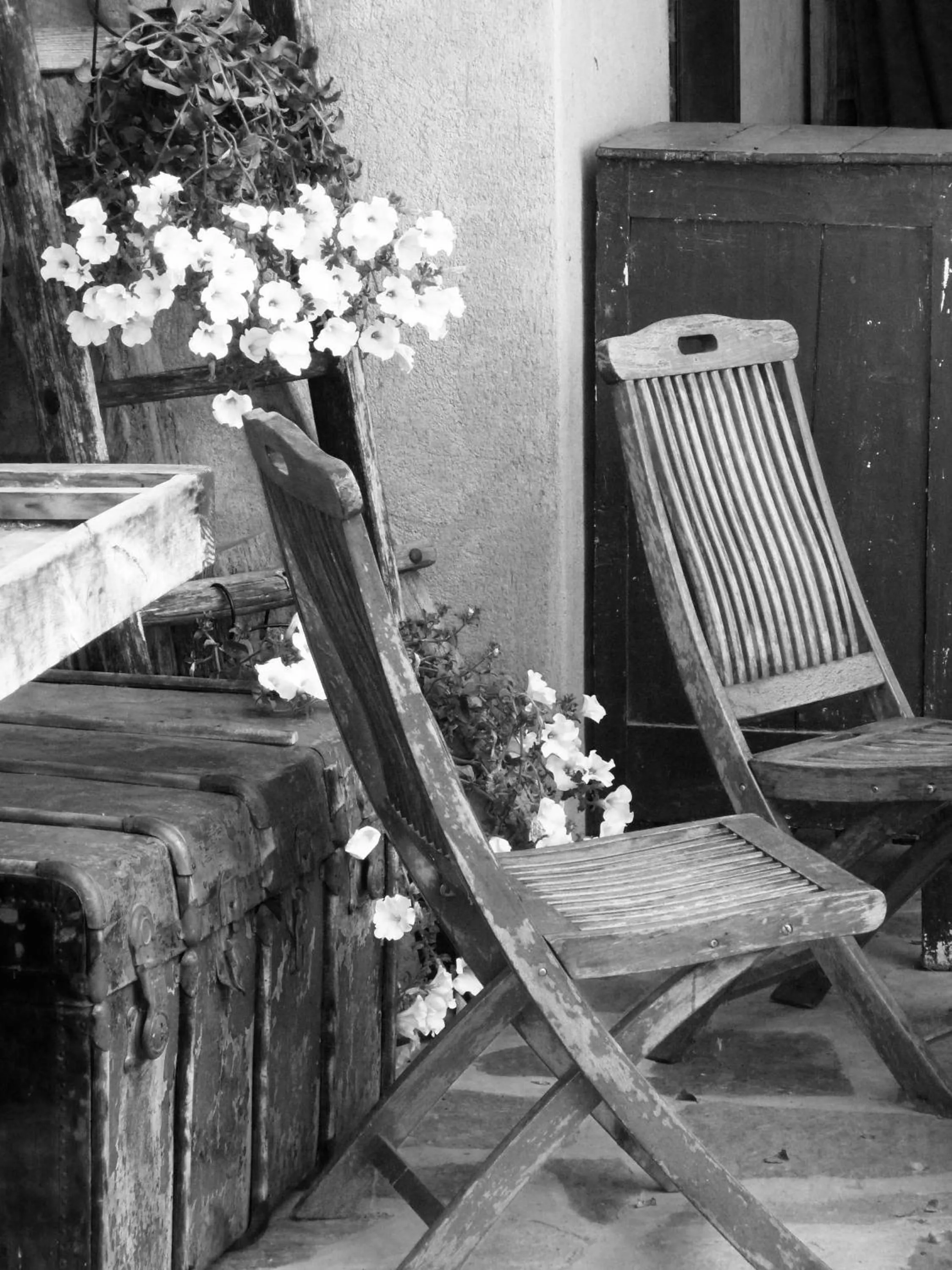 Garden in B&B Cascina Marie