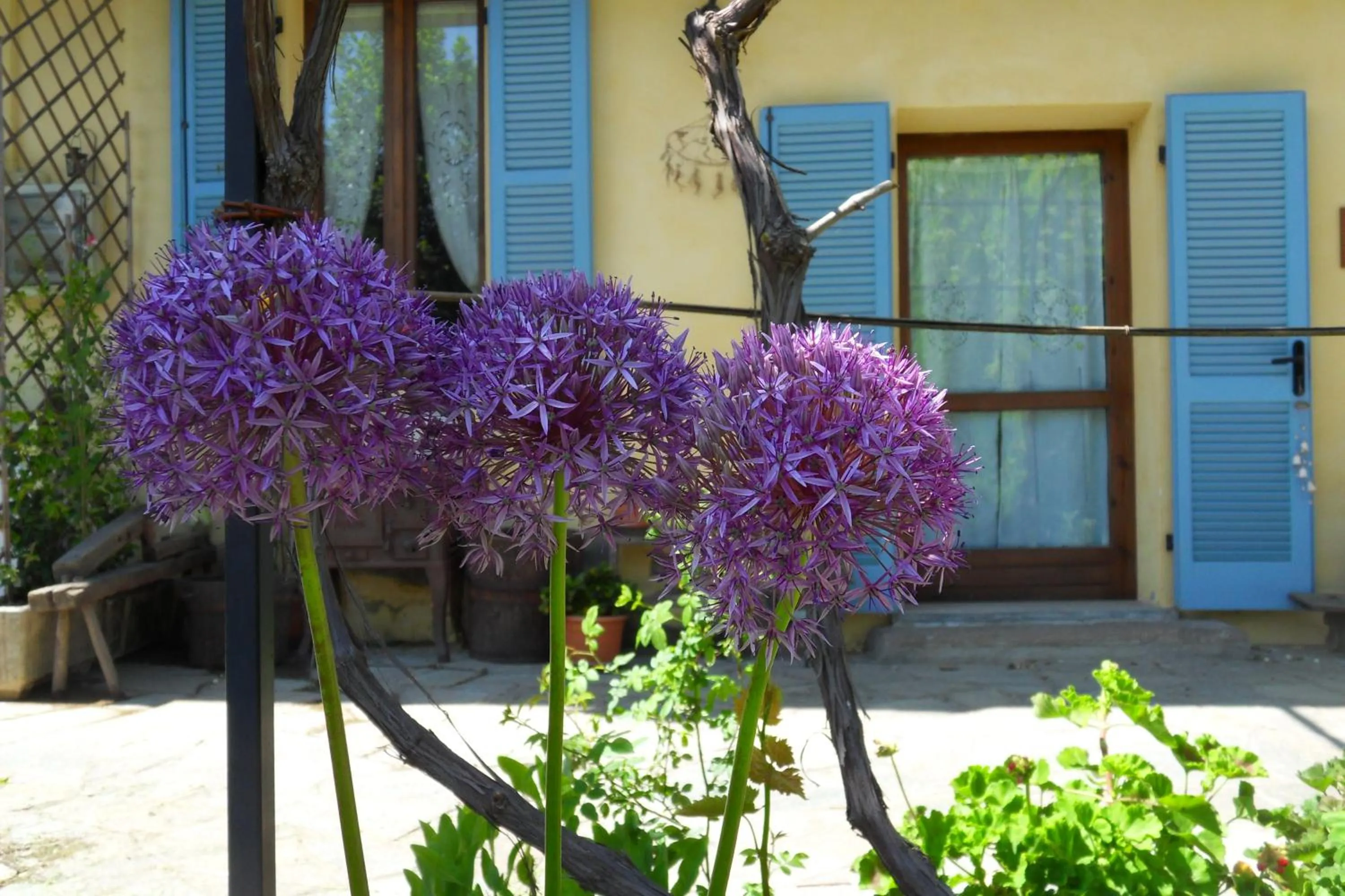 Garden in B&B Cascina Marie