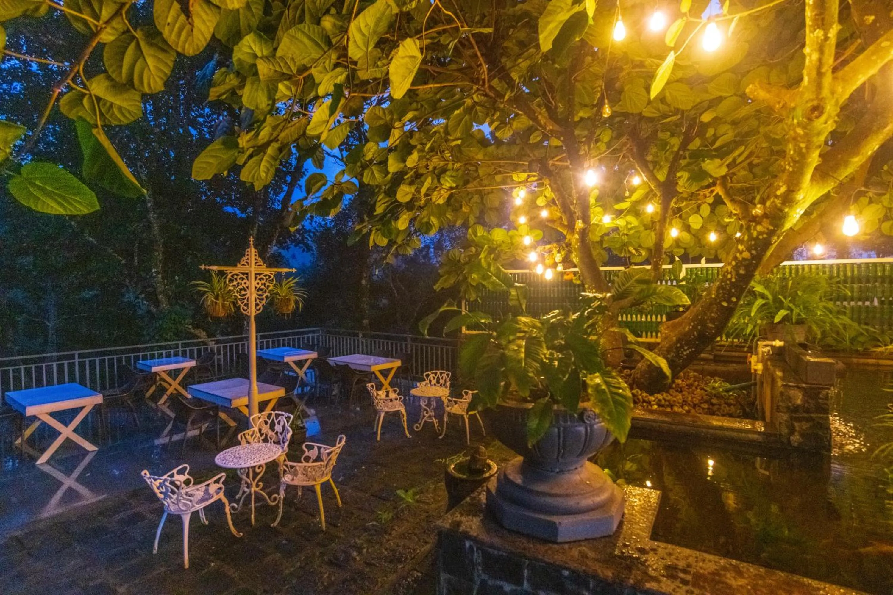 Night in Tea Harvester