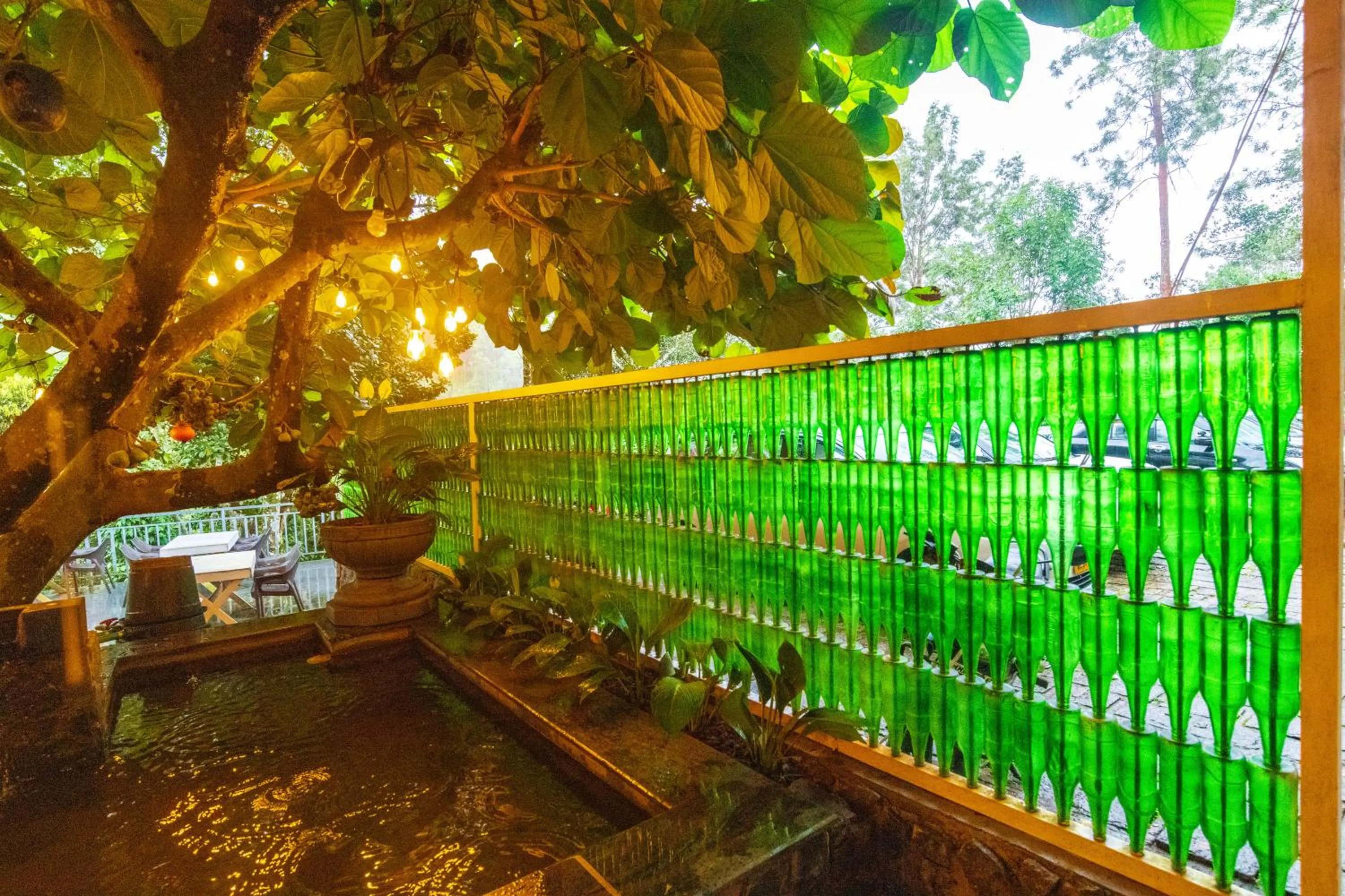 Day in Tea Harvester