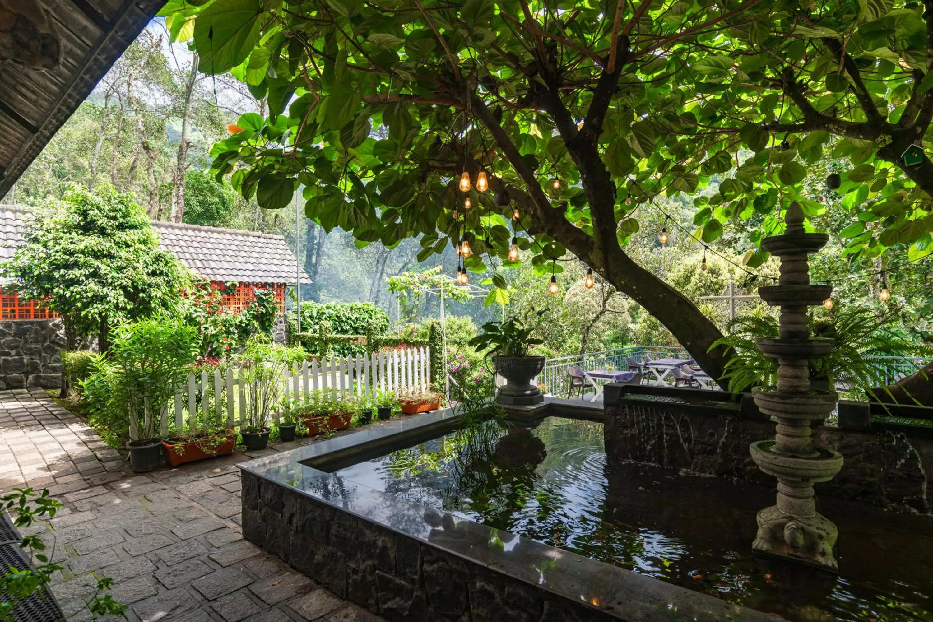 Natural landscape in Tea Harvester