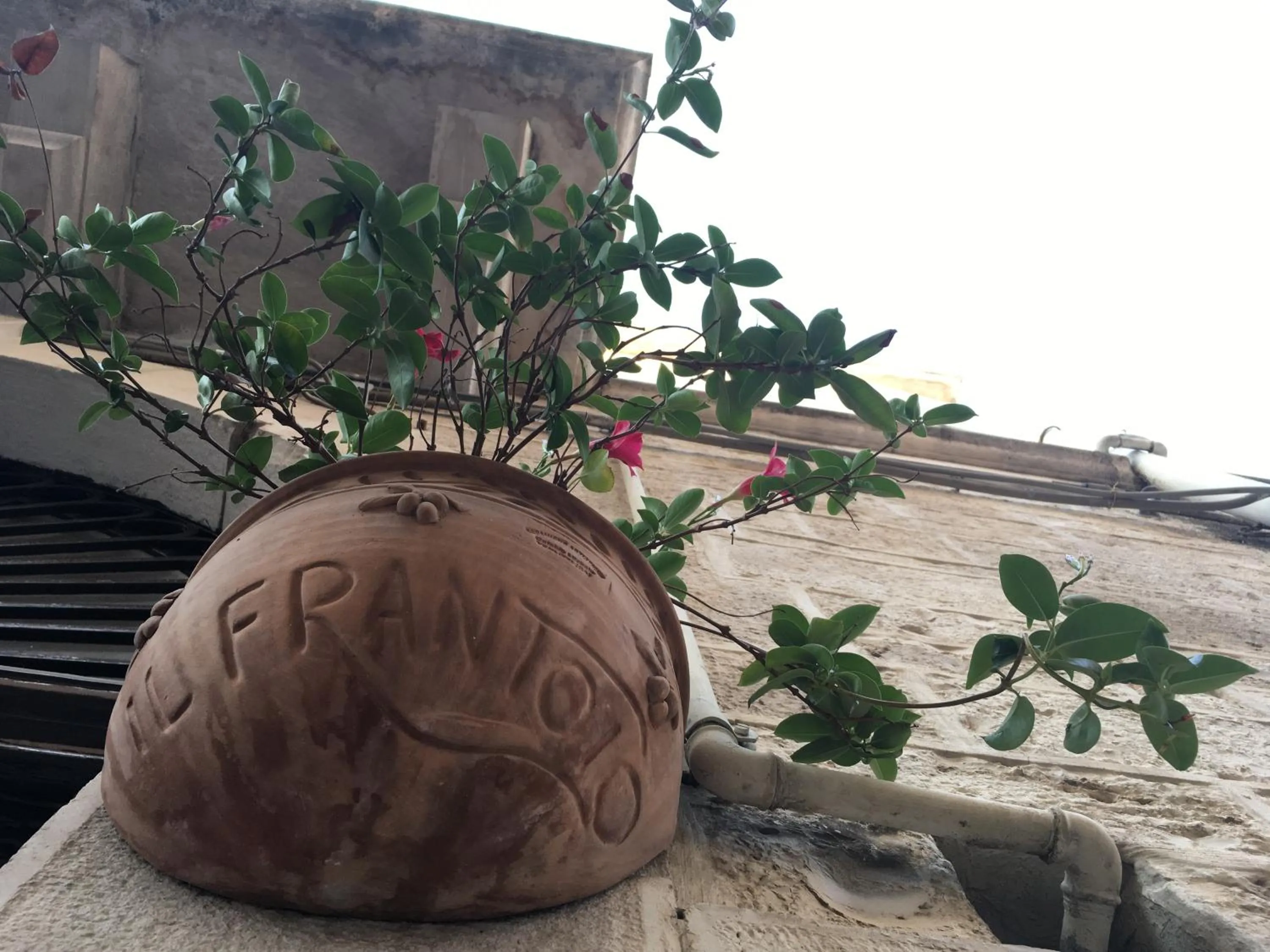 Property logo or sign in Il Frantoio 1937