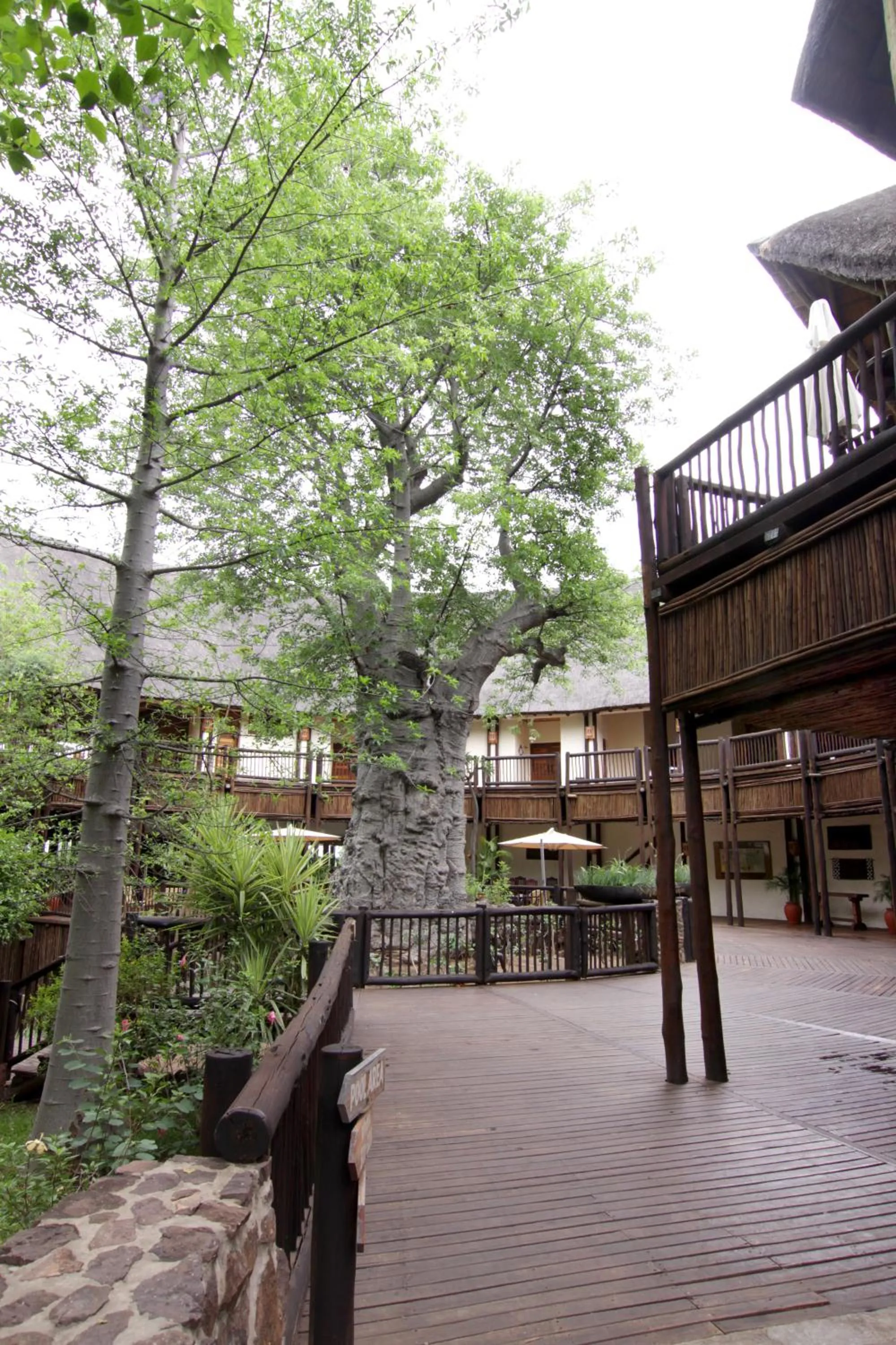 Patio in Cresta Mowana Safari Resort & Spa