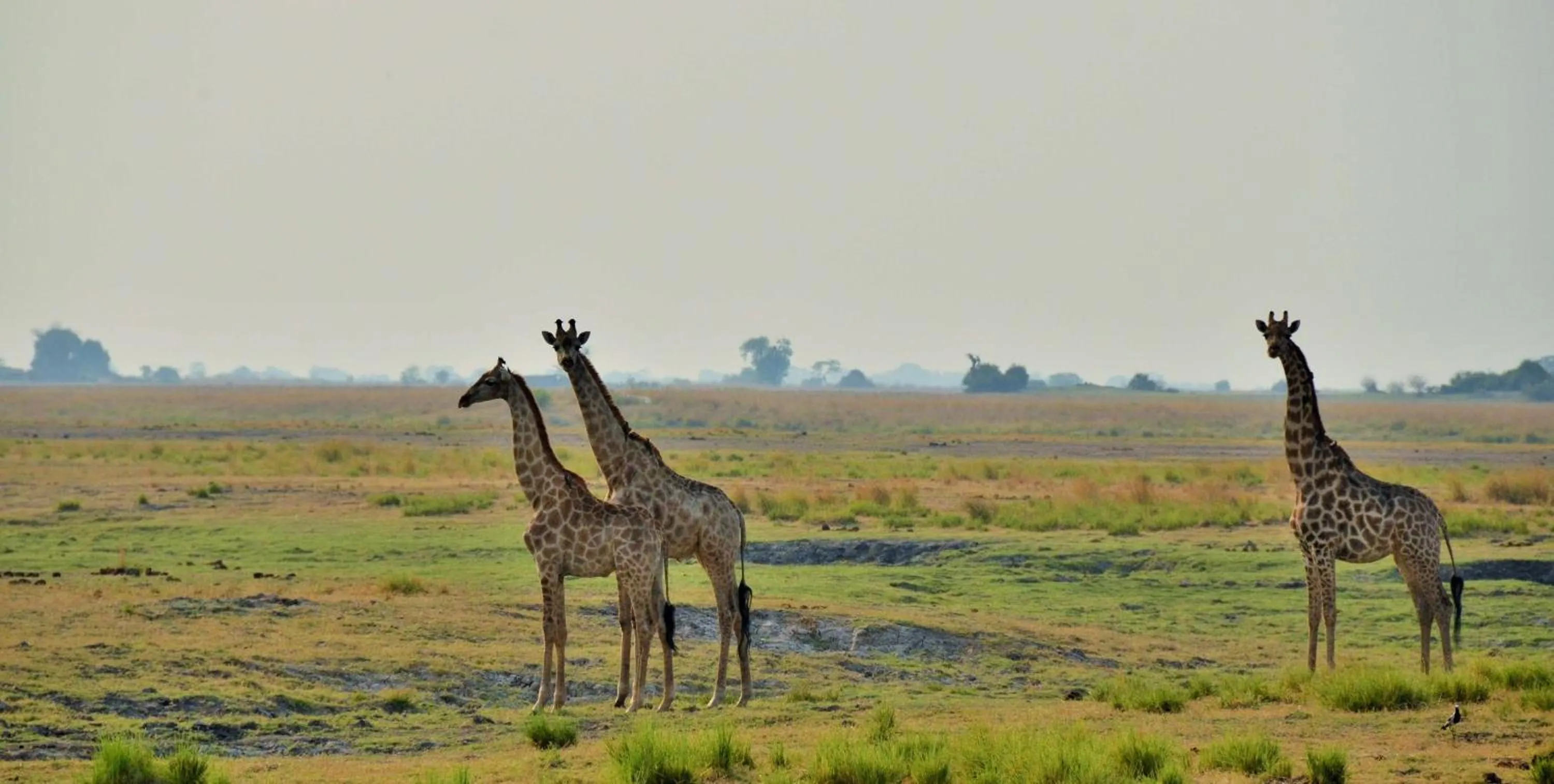 Game Room in Cresta Mowana Safari Resort & Spa