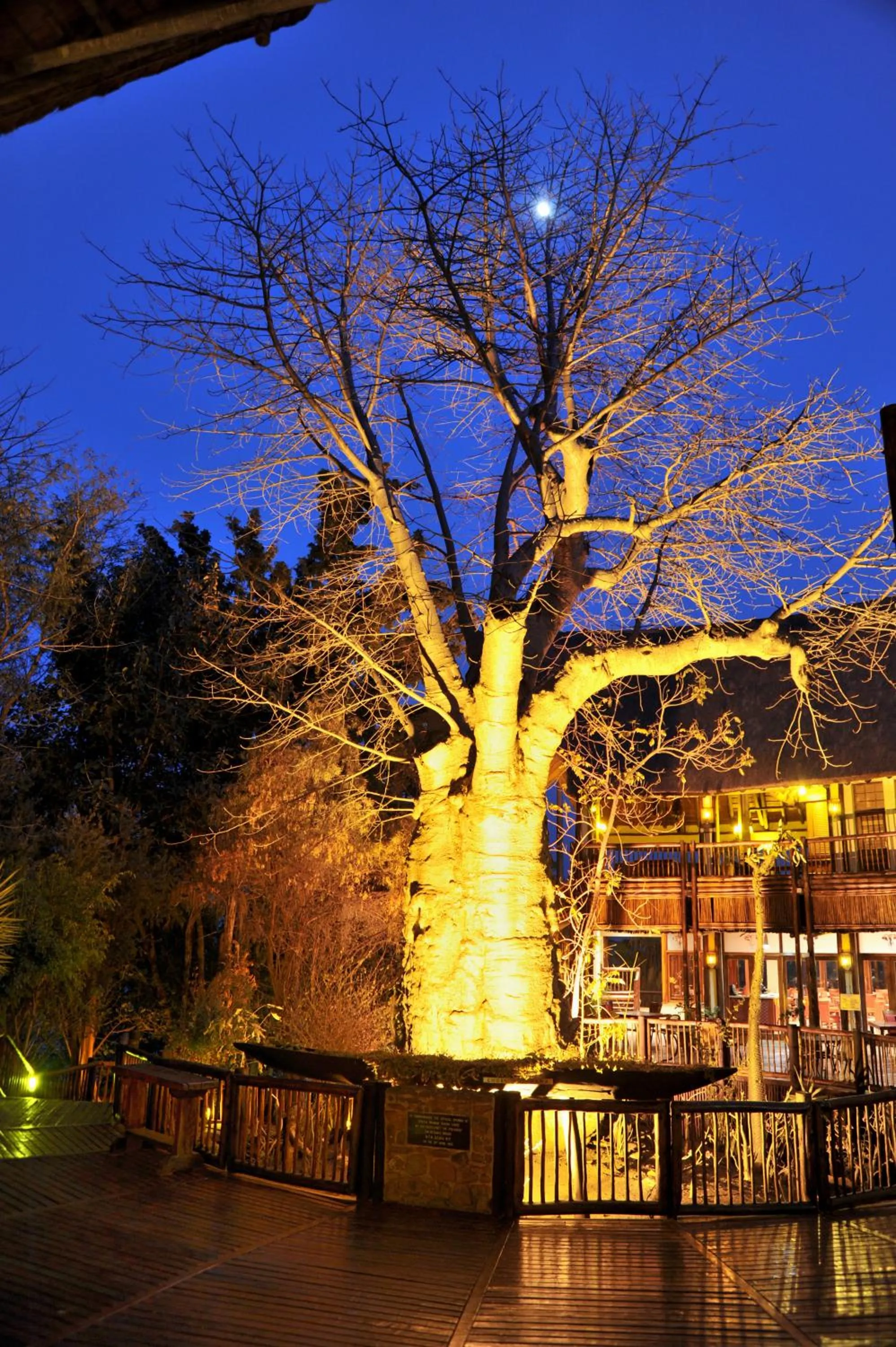 Patio in Cresta Mowana Safari Resort & Spa