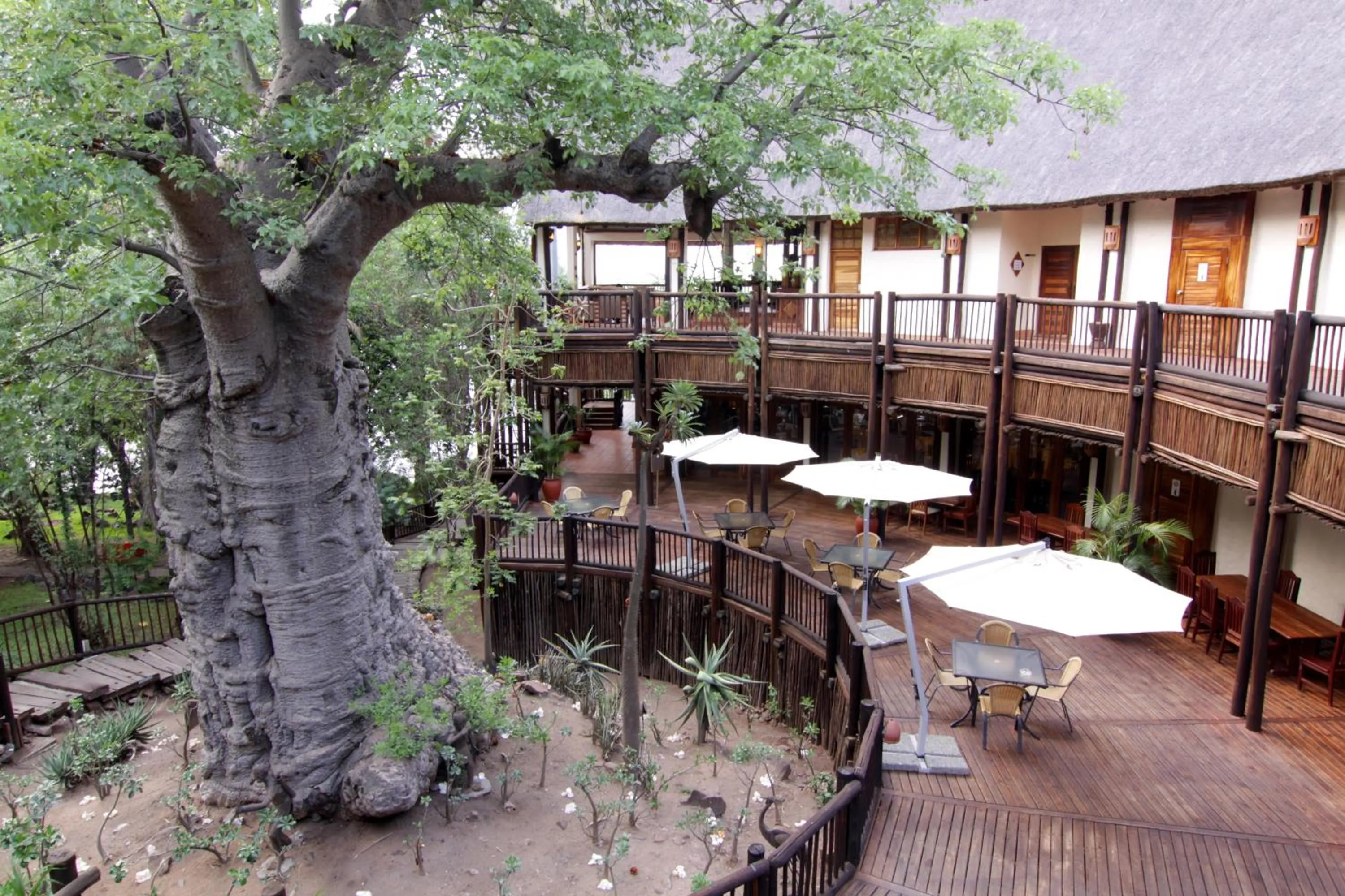 Patio in Cresta Mowana Safari Resort & Spa