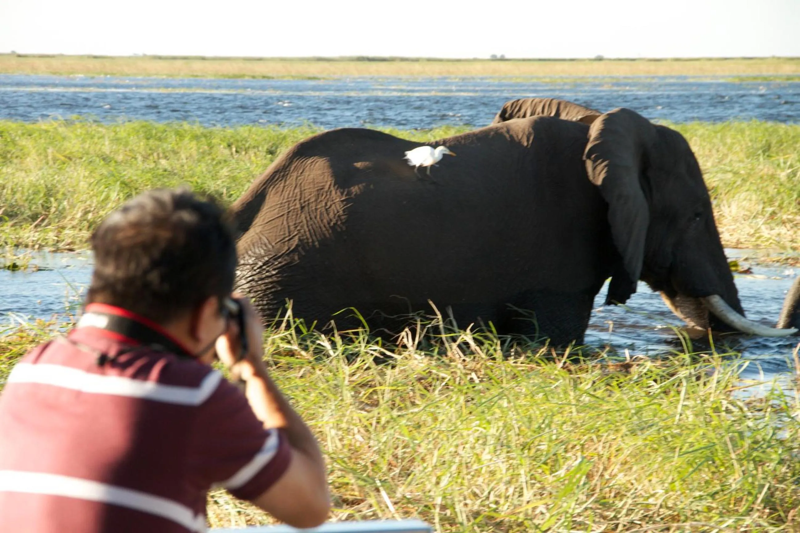 Natural landscape in Cresta Mowana Safari Resort & Spa