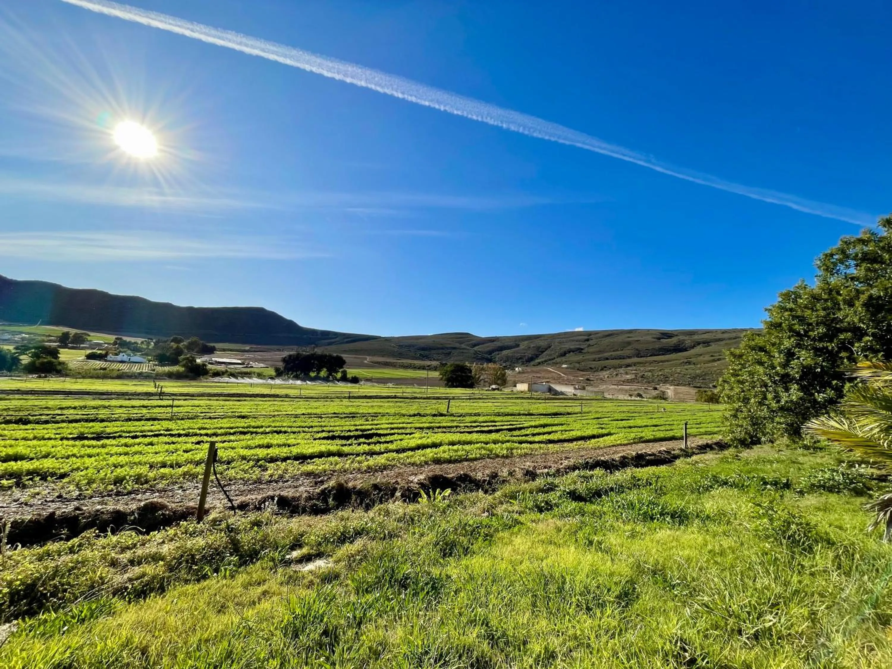Natural landscape in Blue Cow Barn - Boutique Farm