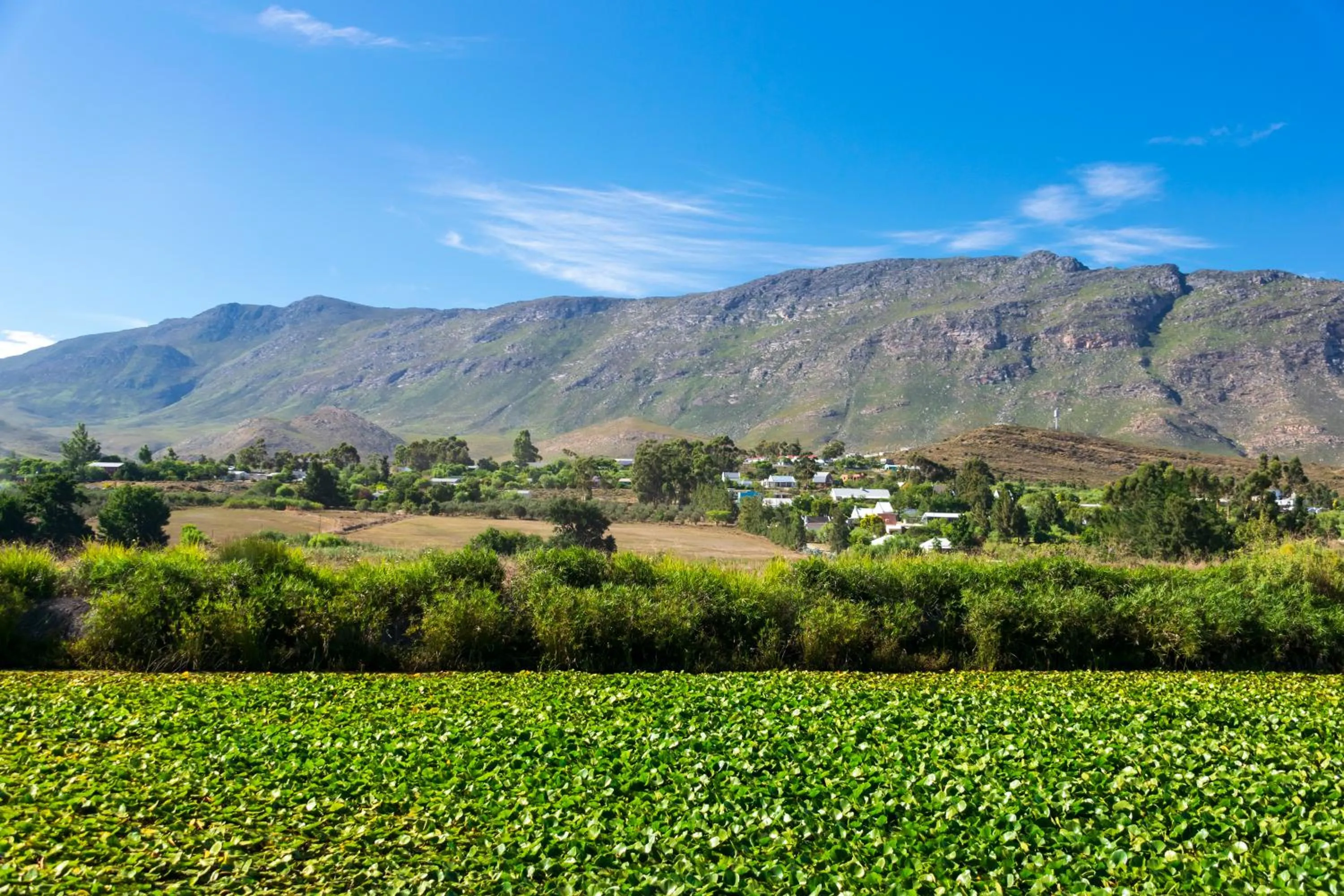 Property building in Blue Cow Barn - Boutique Farm