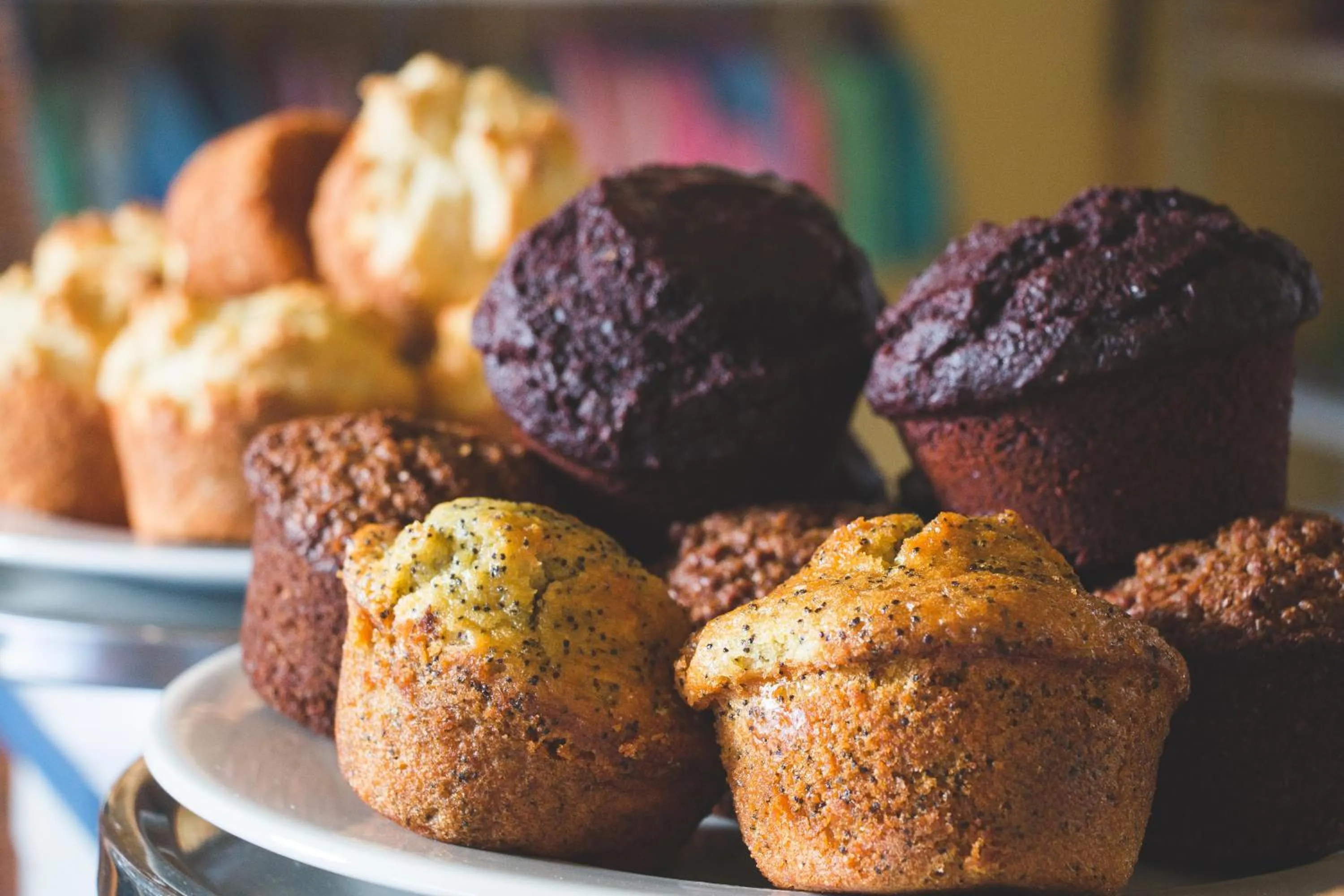 Food and drinks in Blue Cow Barn - Boutique Farm