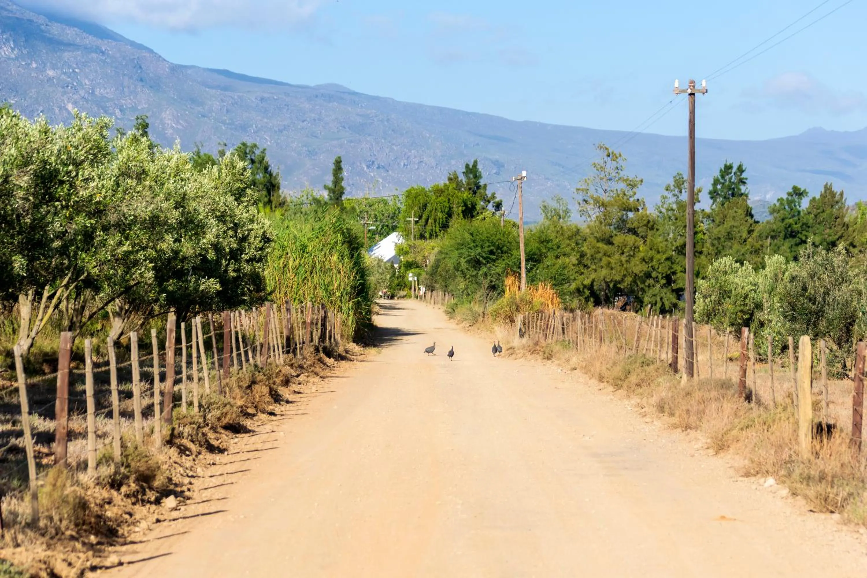 View (from property/room) in Blue Cow Barn - Boutique Farm