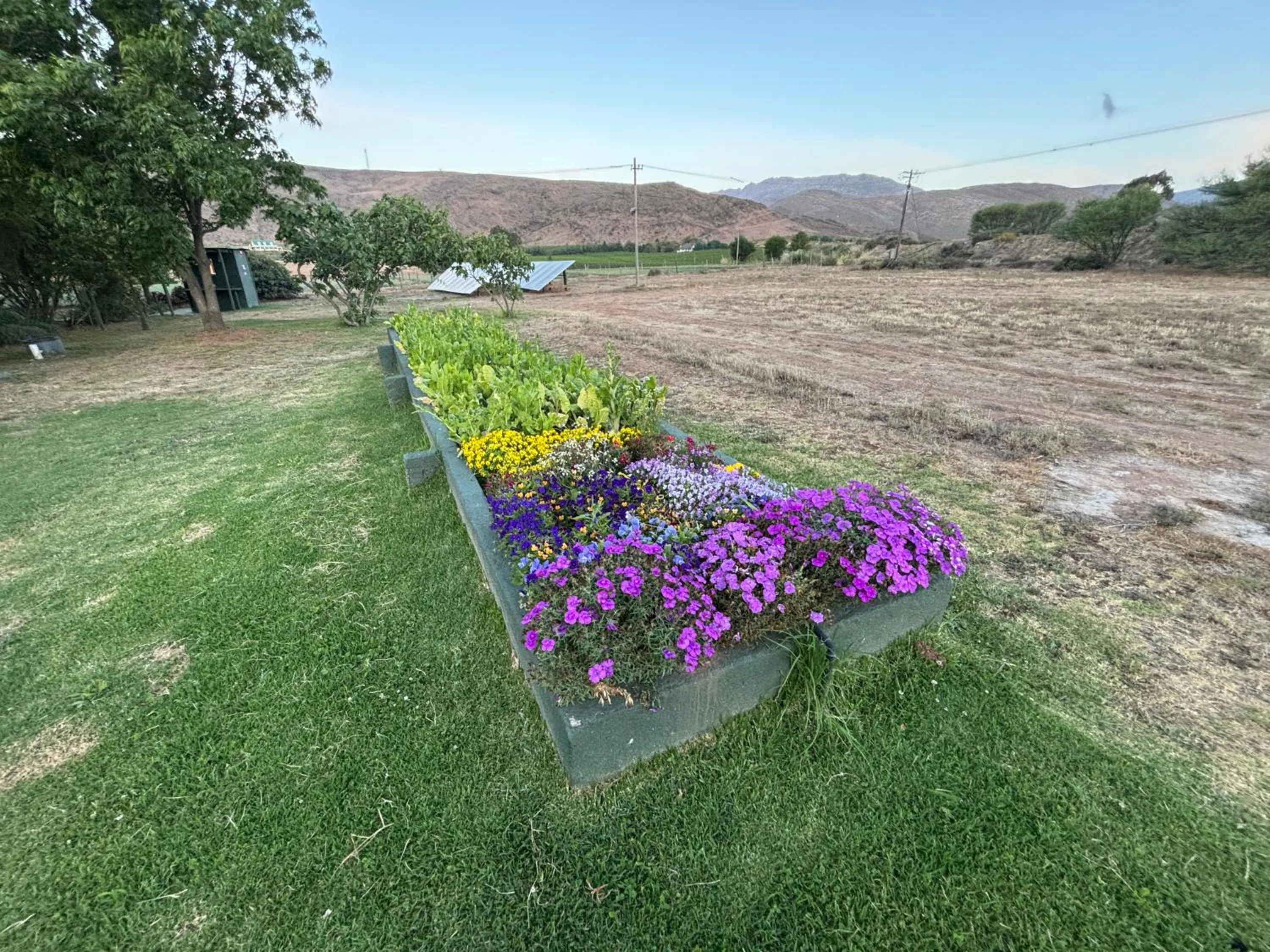 Garden in Blue Cow Barn - Boutique Farm