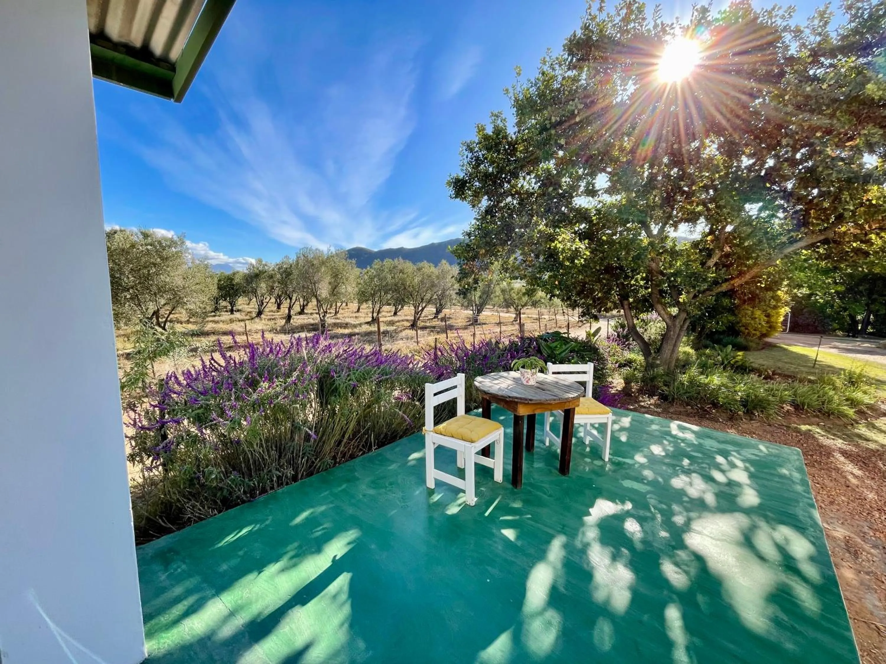 Patio in Blue Cow Barn - Boutique Farm