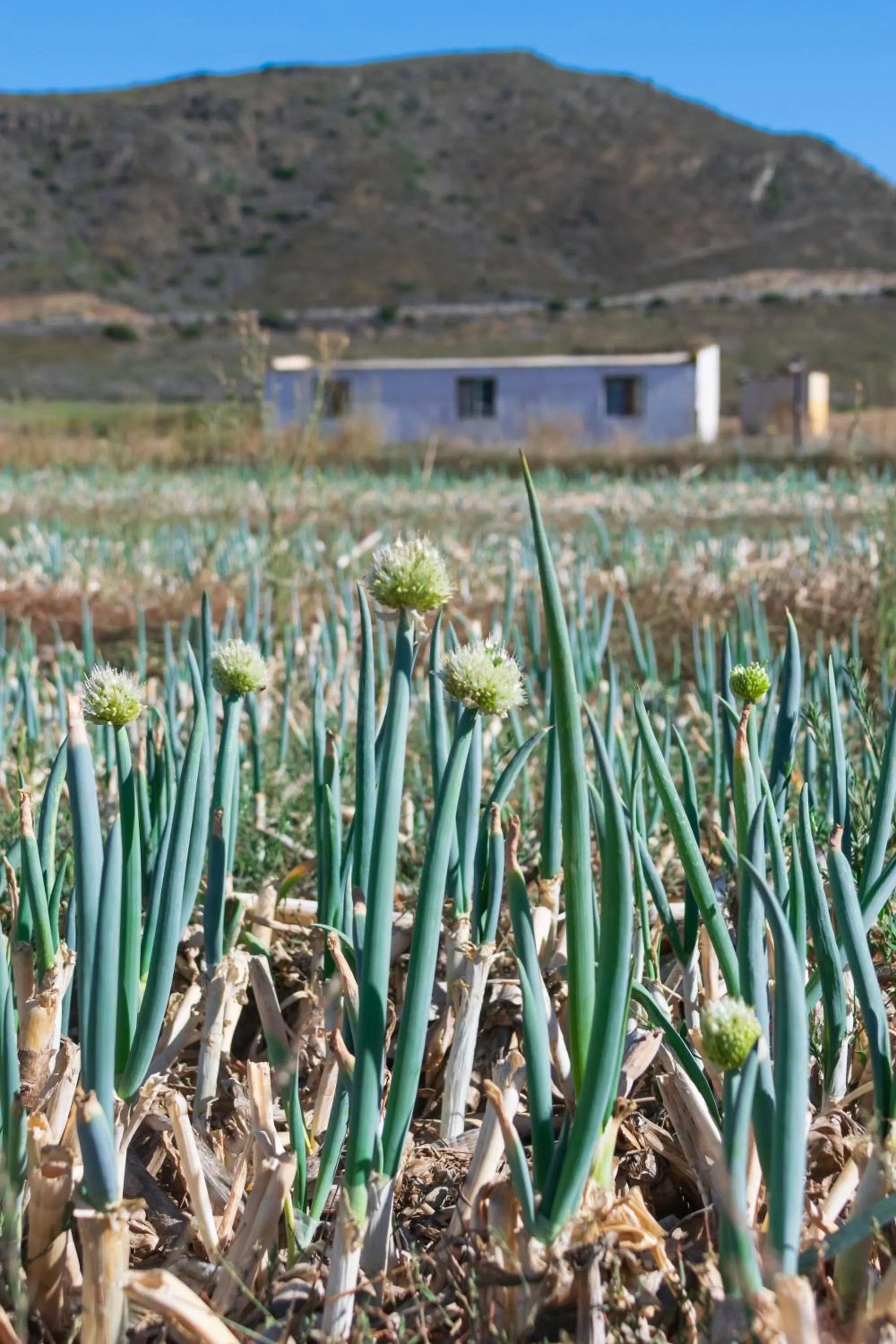 View (from property/room) in Blue Cow Barn - Boutique Farm