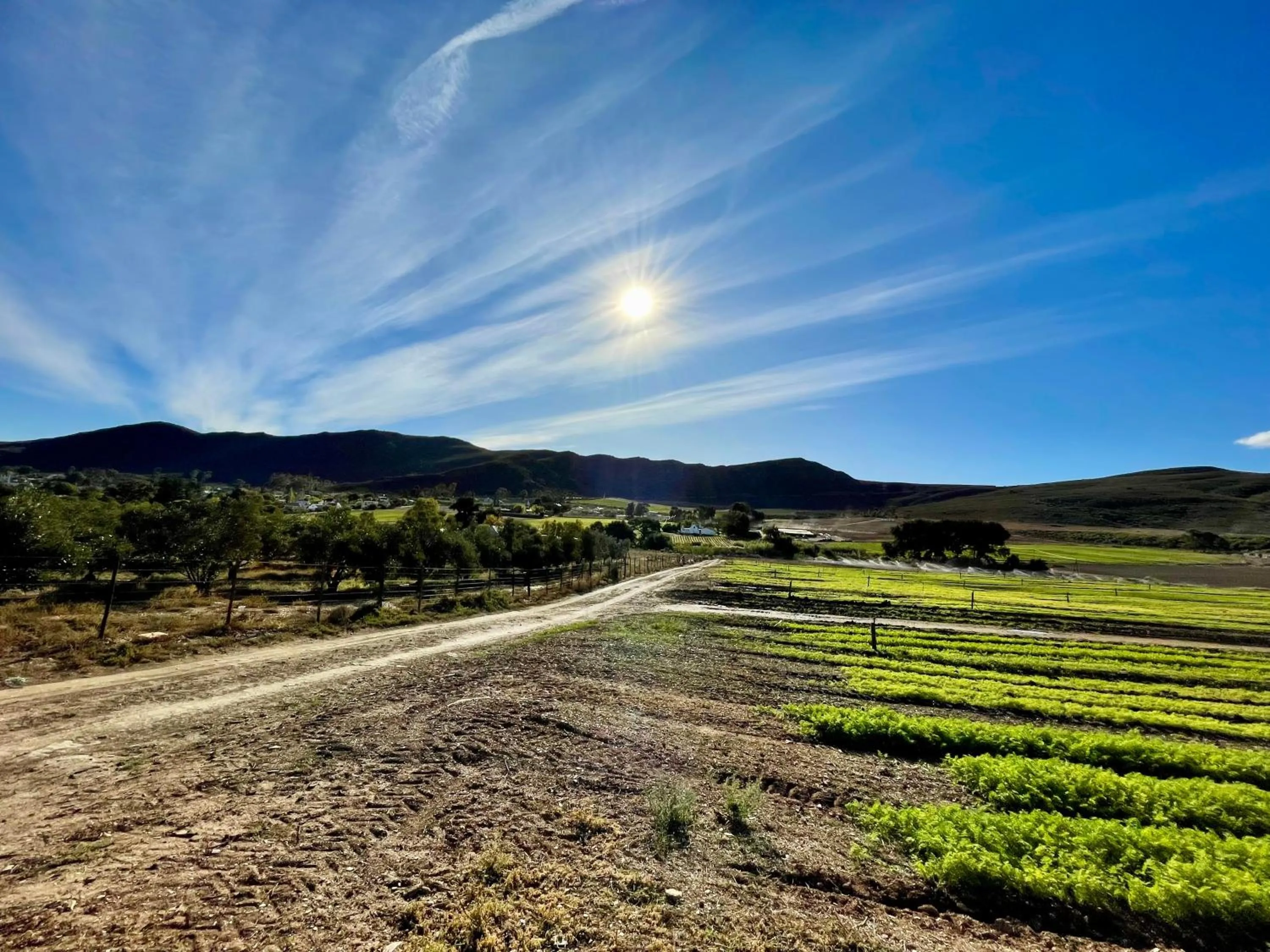 Natural landscape in Blue Cow Barn - Boutique Farm